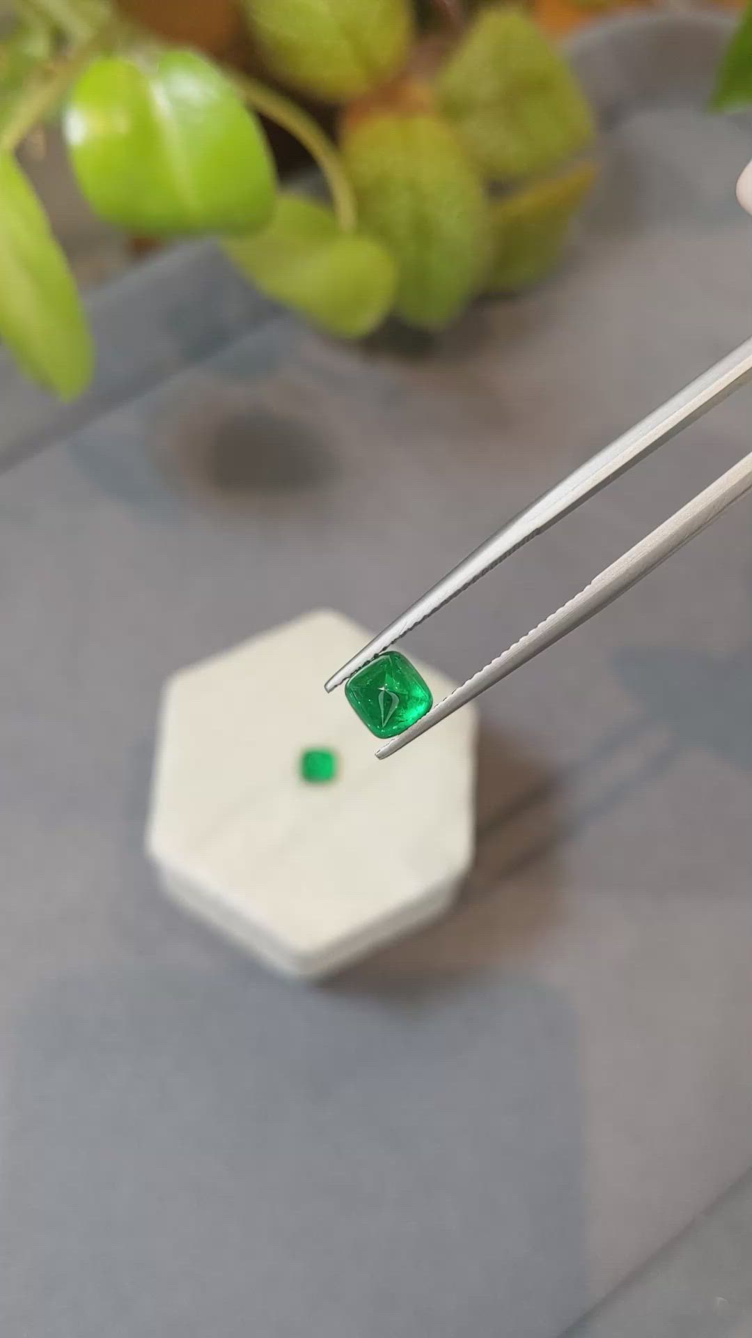 2.09 Ct.Tw.Total Carat Weight Cabochon Emerald Pair from Afghanistan Size Video