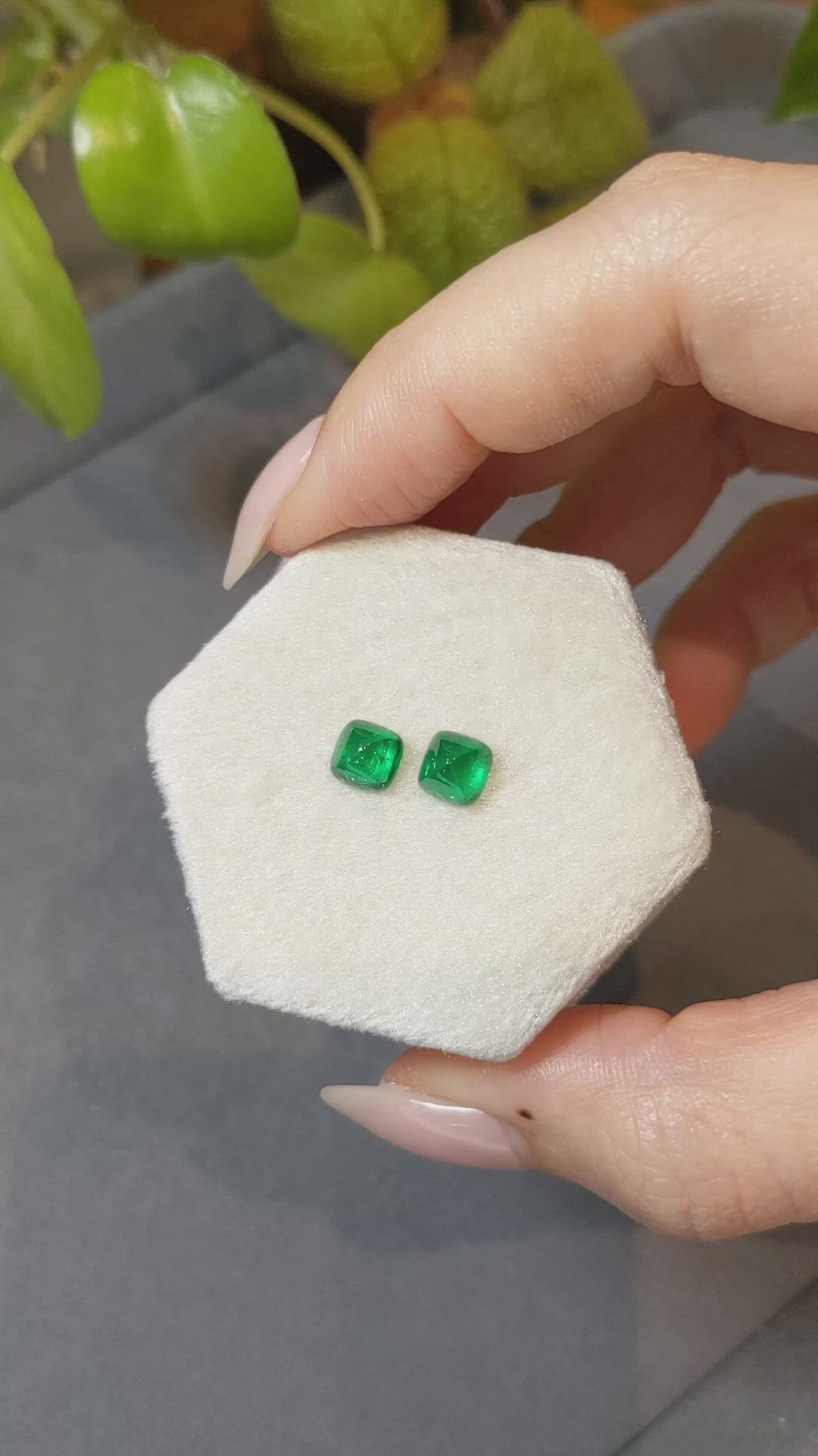 2.09 Ct.Tw.Total Carat Weight Cabochon Emerald Pair from Afghanistan Size Video