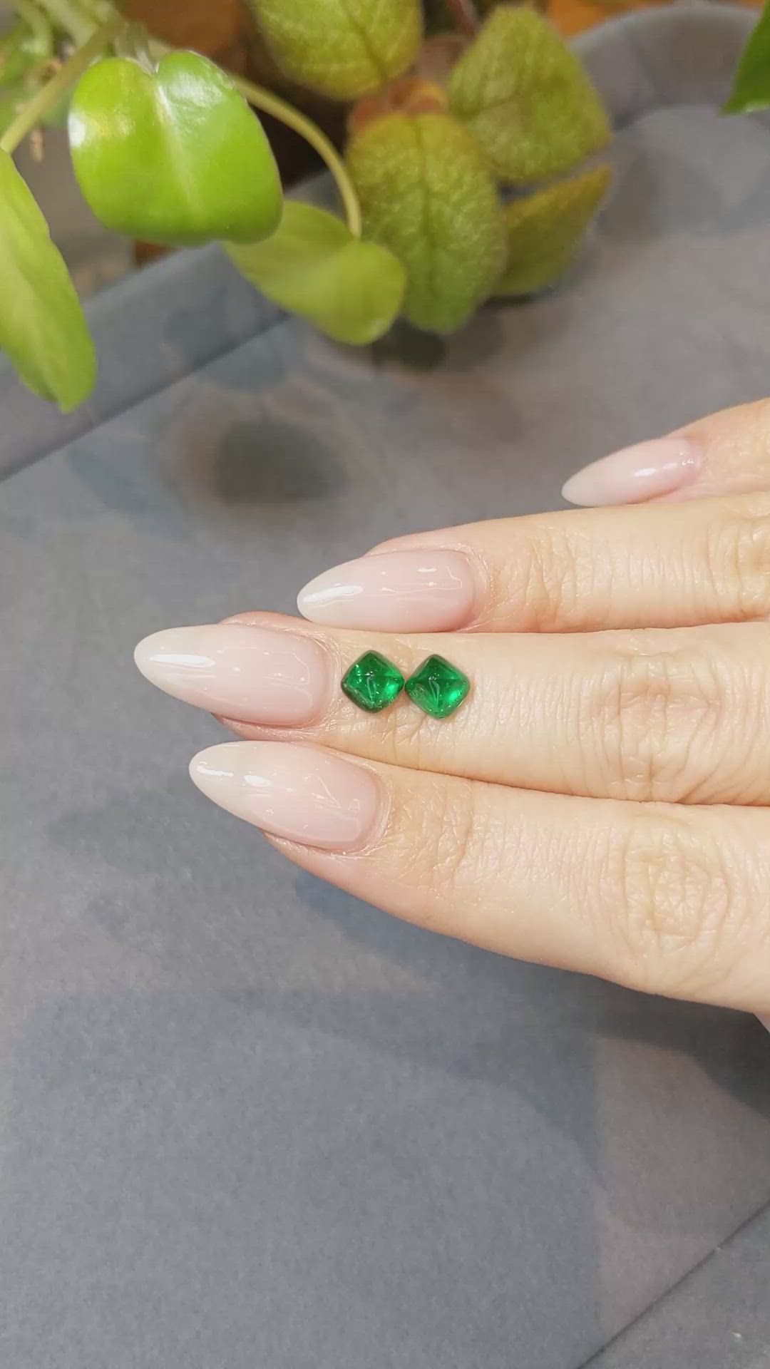 2.09 Ct.Tw.Total Carat Weight Cabochon Emerald Pair from Afghanistan Size Video