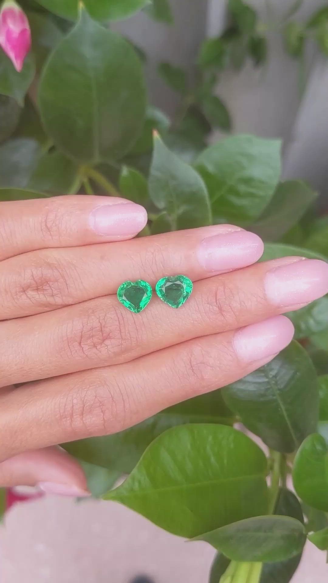 3.13 Ct.Tw.Total Carat Weight Emerald Pair from Zambia Size Video