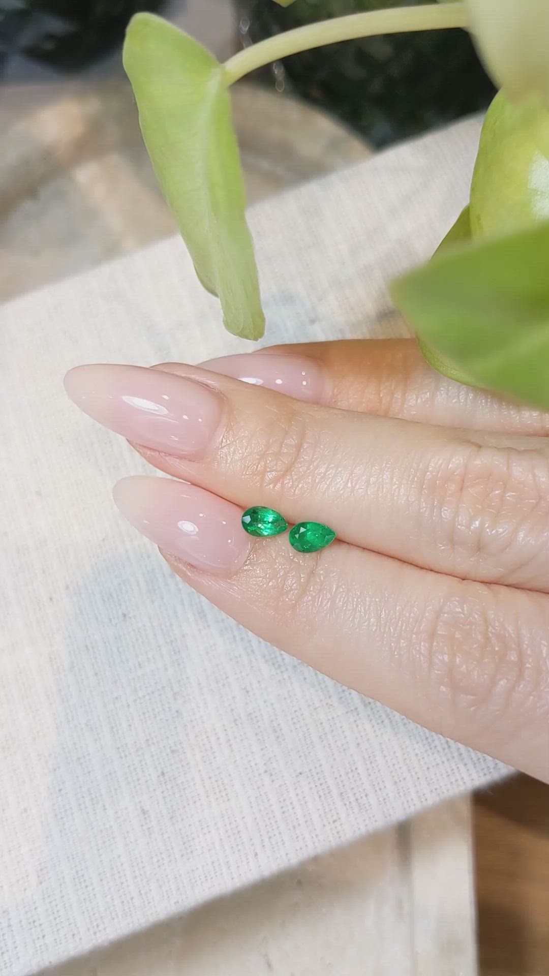 0.62&nbsp;Ct.Tw.Total Carat Weight Emerald Pair from Colombia Size Video