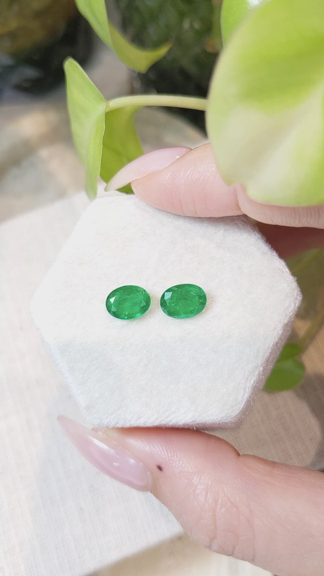 2.38 Ct.Tw.Total Carat Weight Emerald Pair from Zambia Size Video