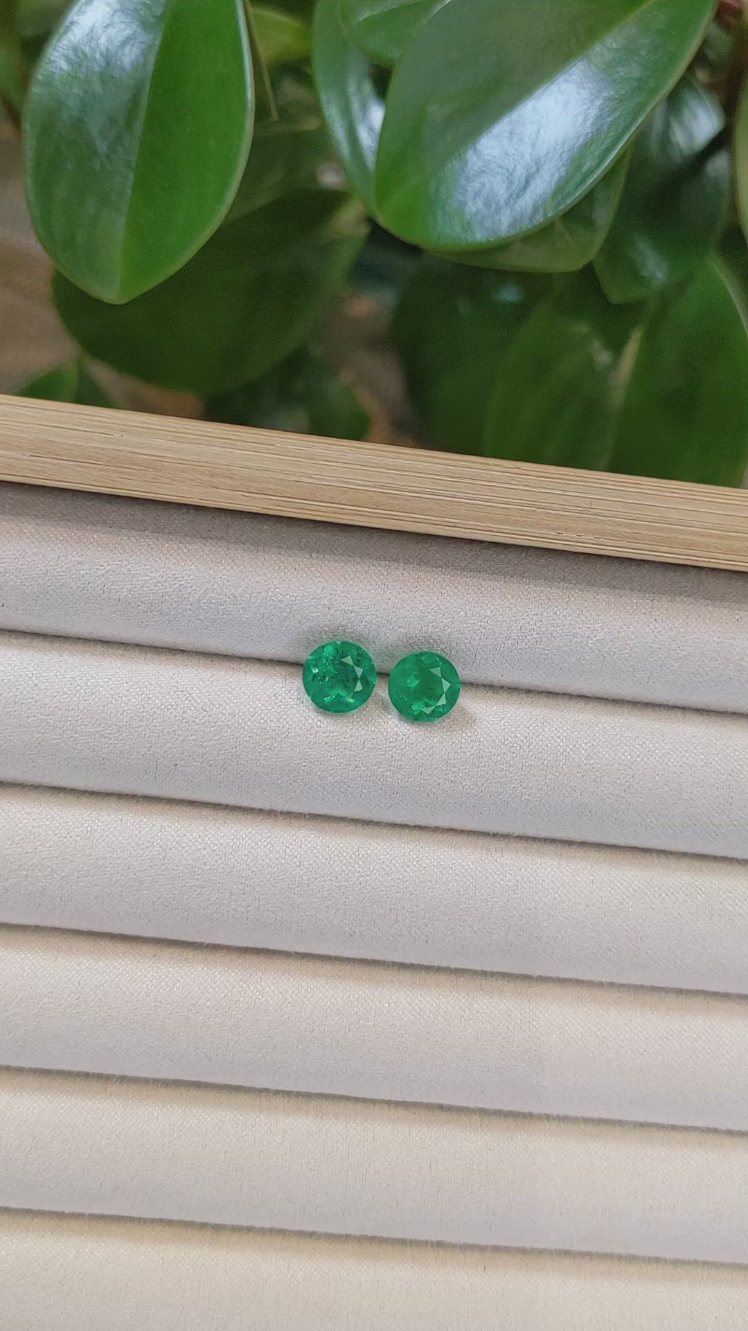 3.25 Ct.Tw.Total Carat Weight Emerald Pair from Colombia Size Video