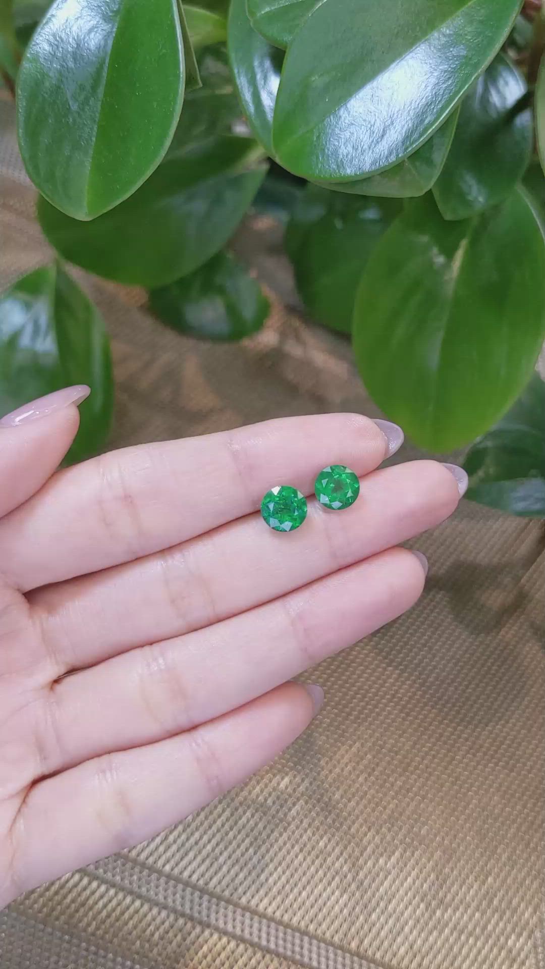 3.25 Ct.Tw.Total Carat Weight Emerald Pair from Colombia Size Video