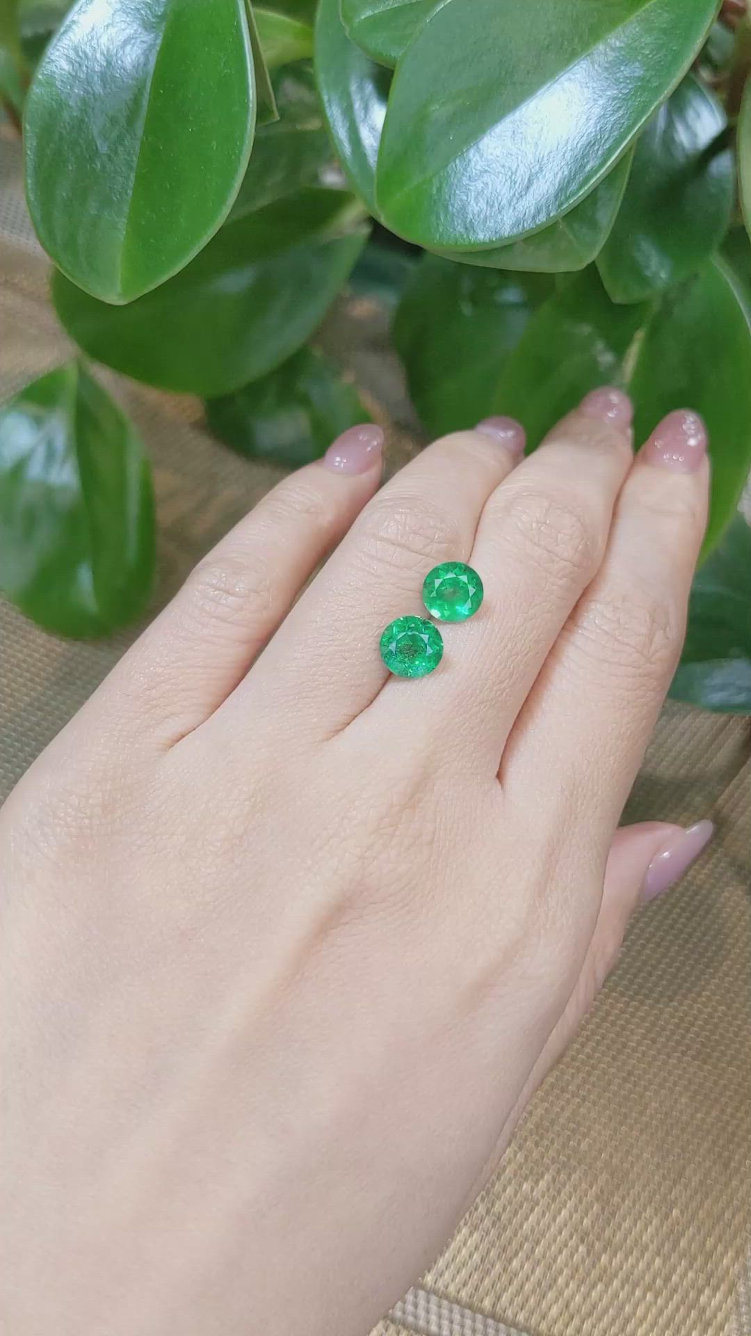 3.25 Ct.Tw.Total Carat Weight Emerald Pair from Colombia Size Video