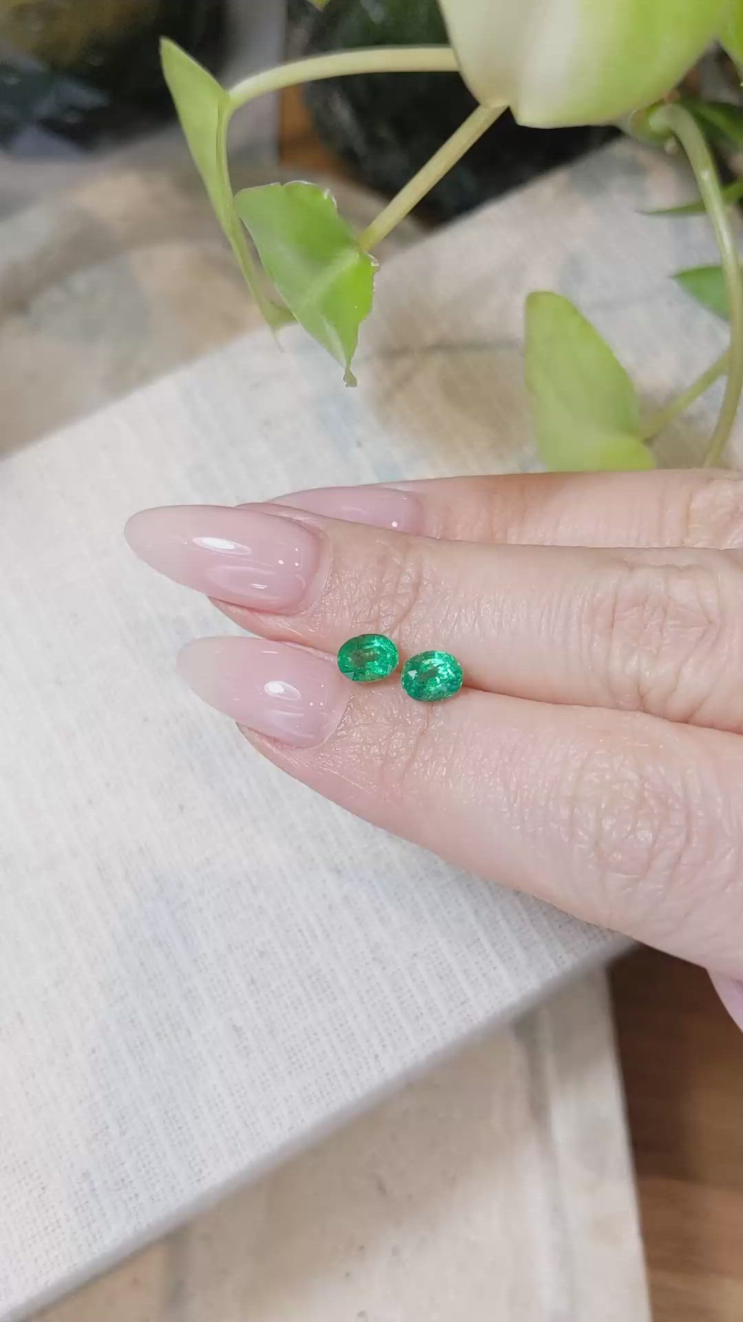 1.22 Ct.Tw.Total Carat Weight Emerald Pair from Zambia Size Video