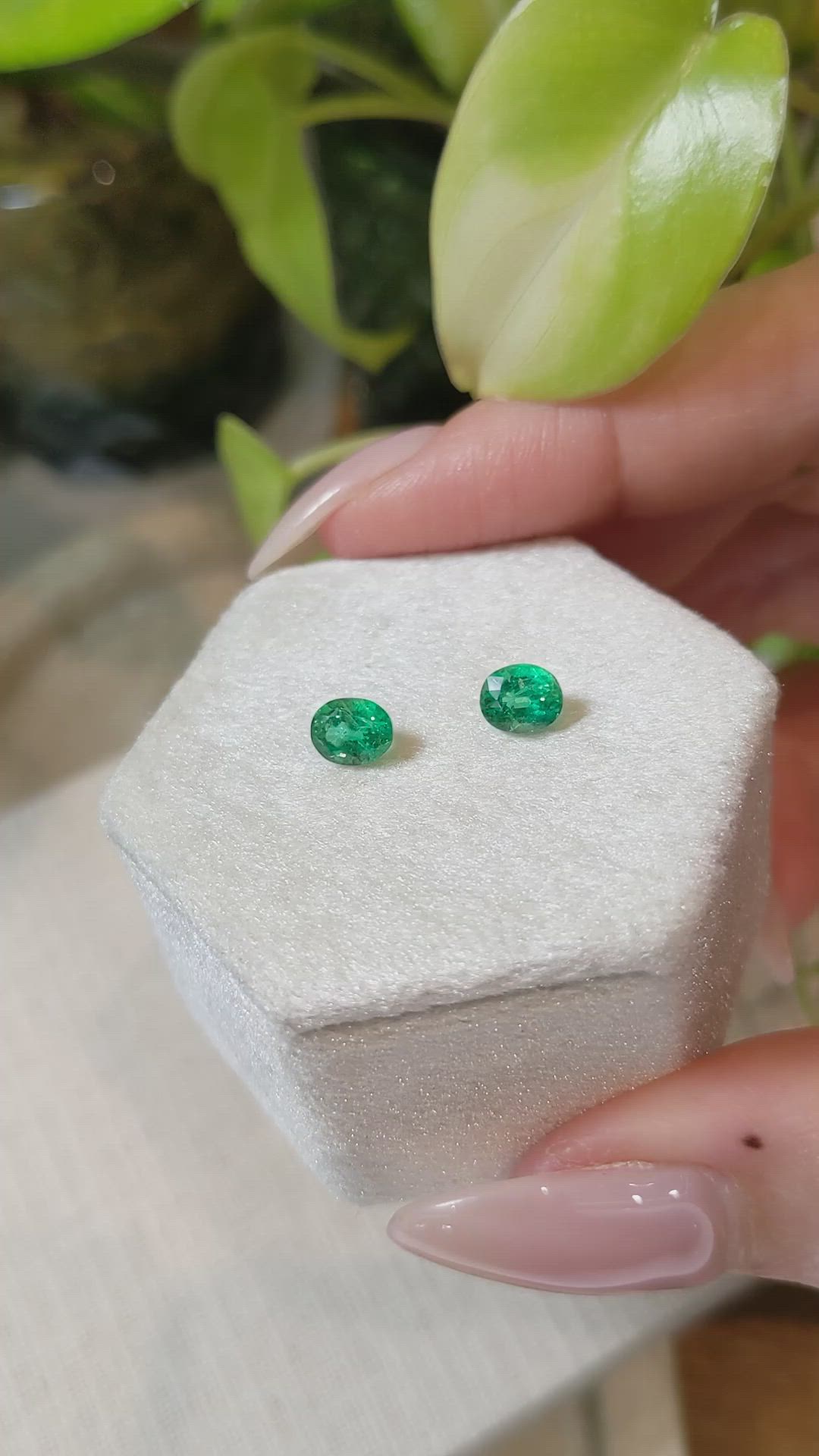 1.22 Ct.Tw.Total Carat Weight Emerald Pair from Zambia Size Video