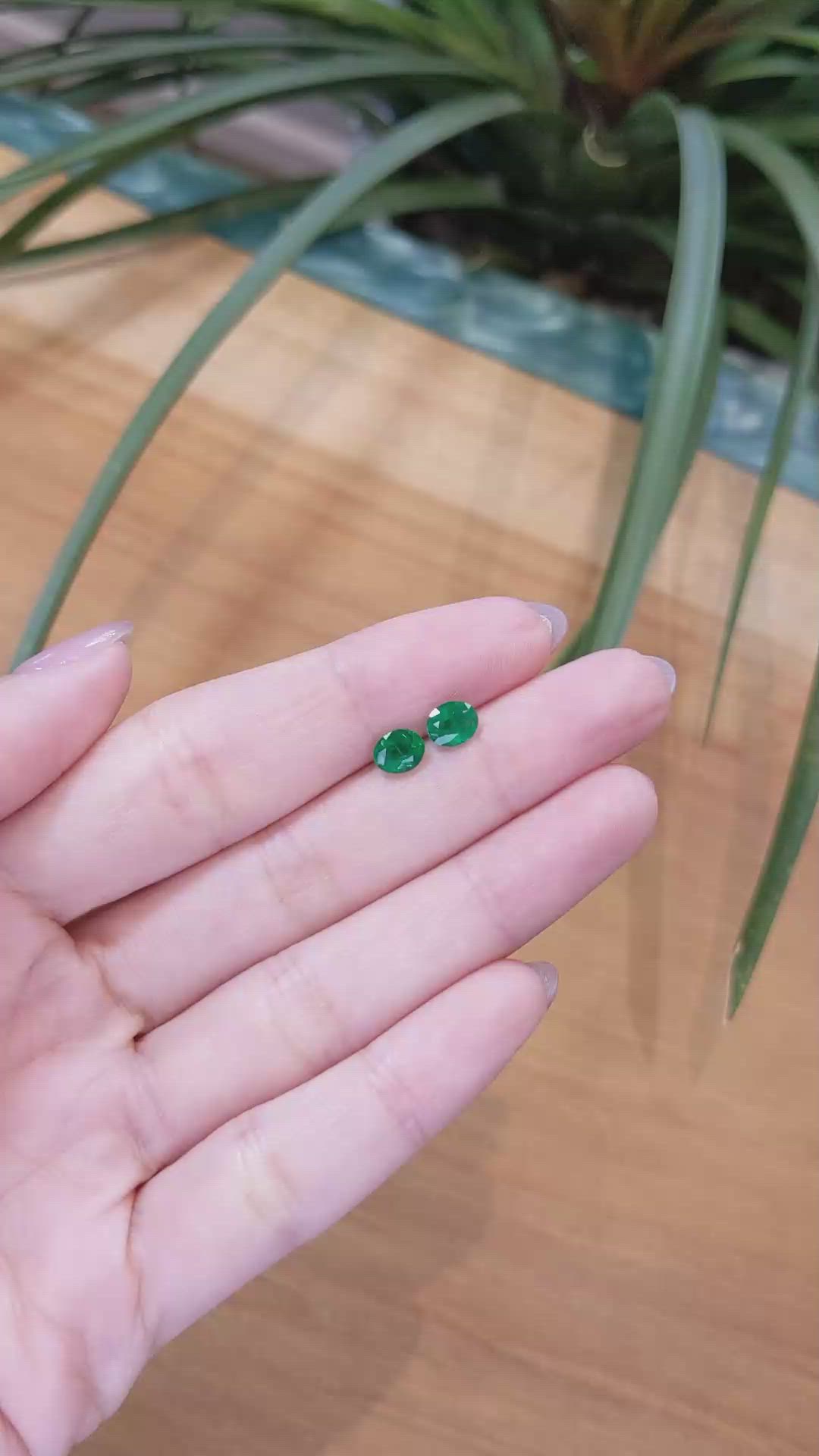 1.22 Ct.Tw.Total Carat Weight Emerald Pair from Zambia Size Video