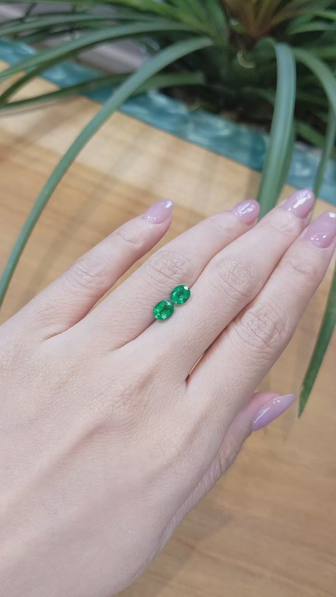 1.39 Ct.Tw.Total Carat Weight Emerald Pair from Zambia Size Video