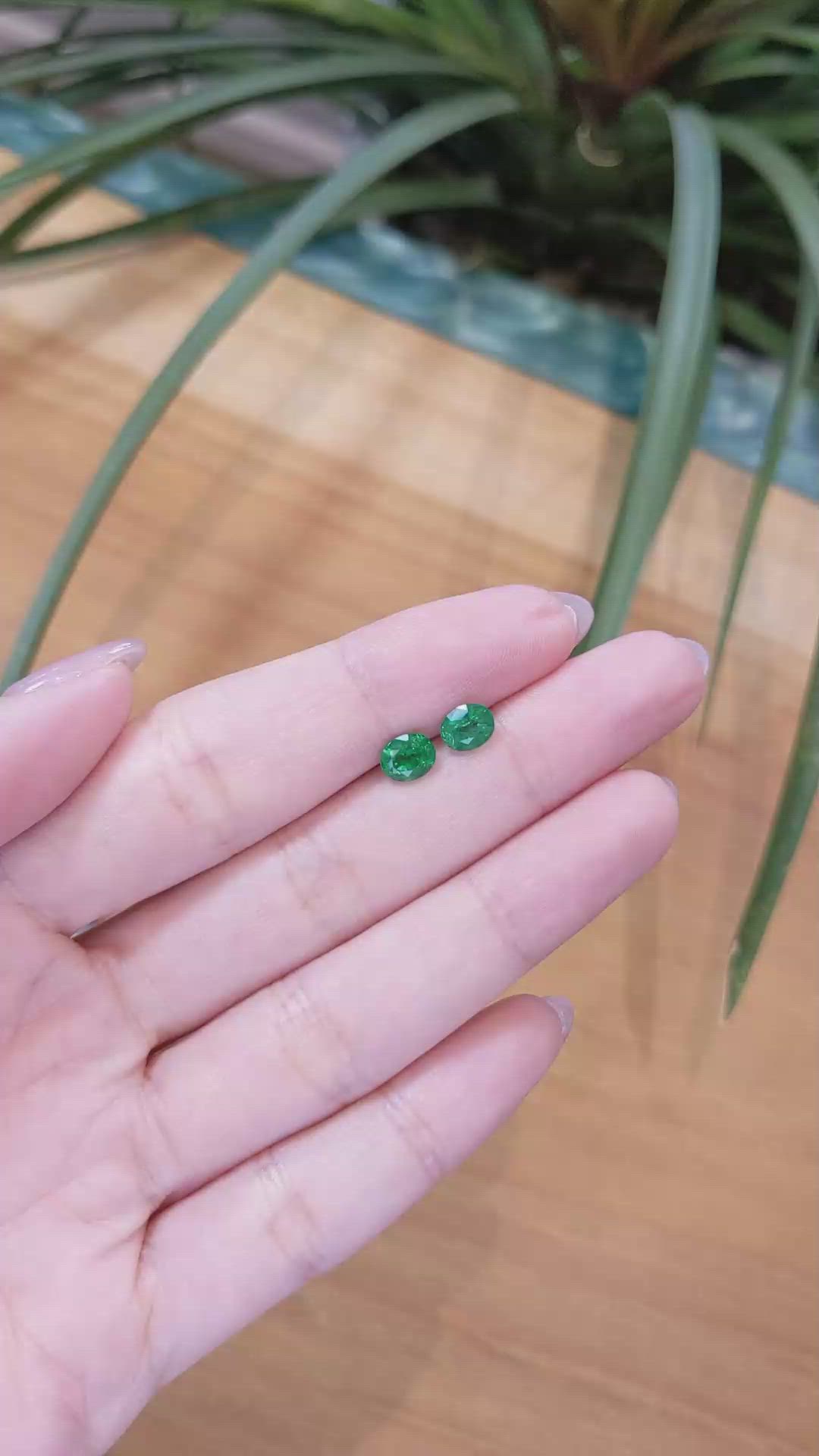 1.39 Ct.Tw.Total Carat Weight Emerald Pair from Zambia Size Video
