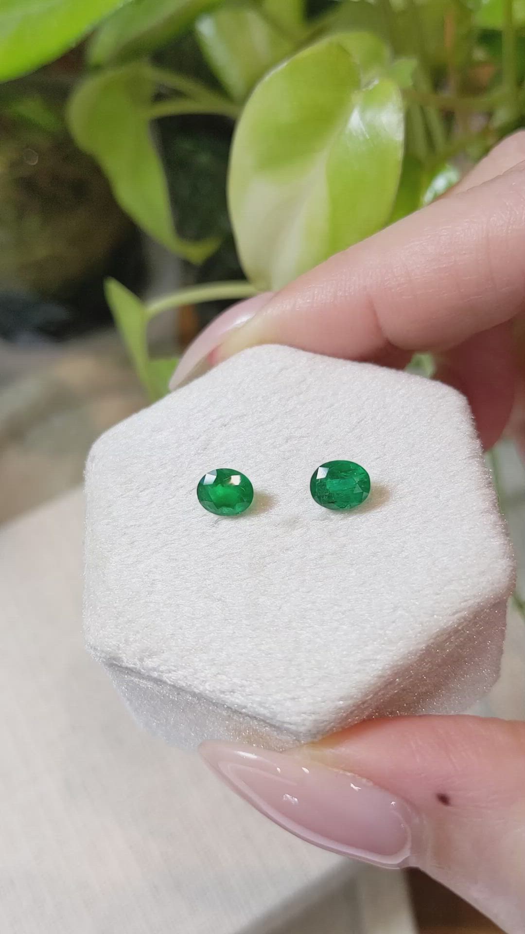 1.42 Ct.Tw.Total Carat Weight Emerald Pair from Zambia Size Video