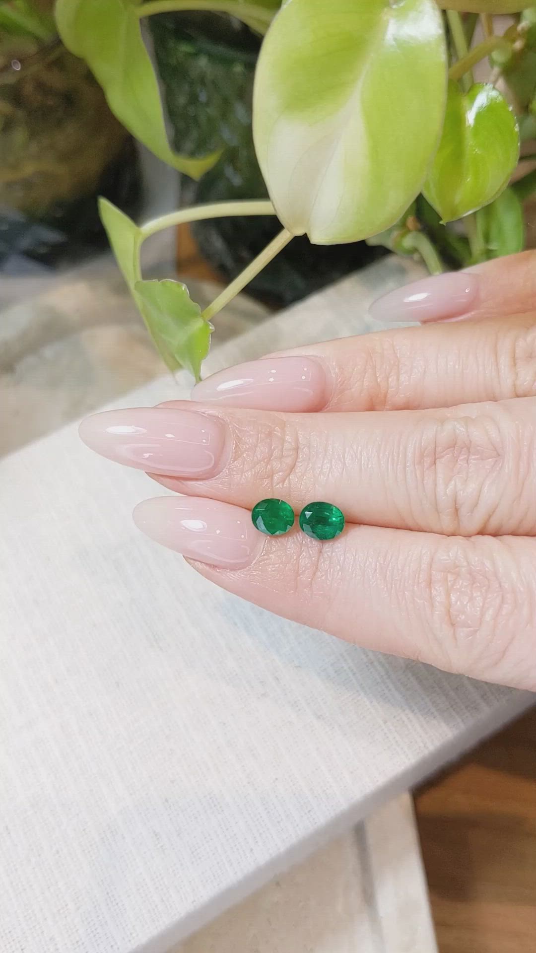 1.42 Ct.Tw.Total Carat Weight Emerald Pair from Zambia Size Video