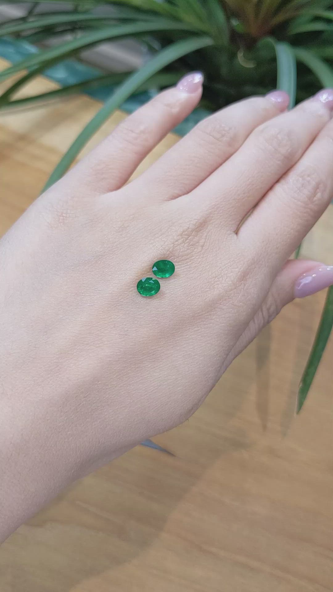 1.30 Ct.Tw.Total Carat Weight Emerald Pair from Zambia Size Video