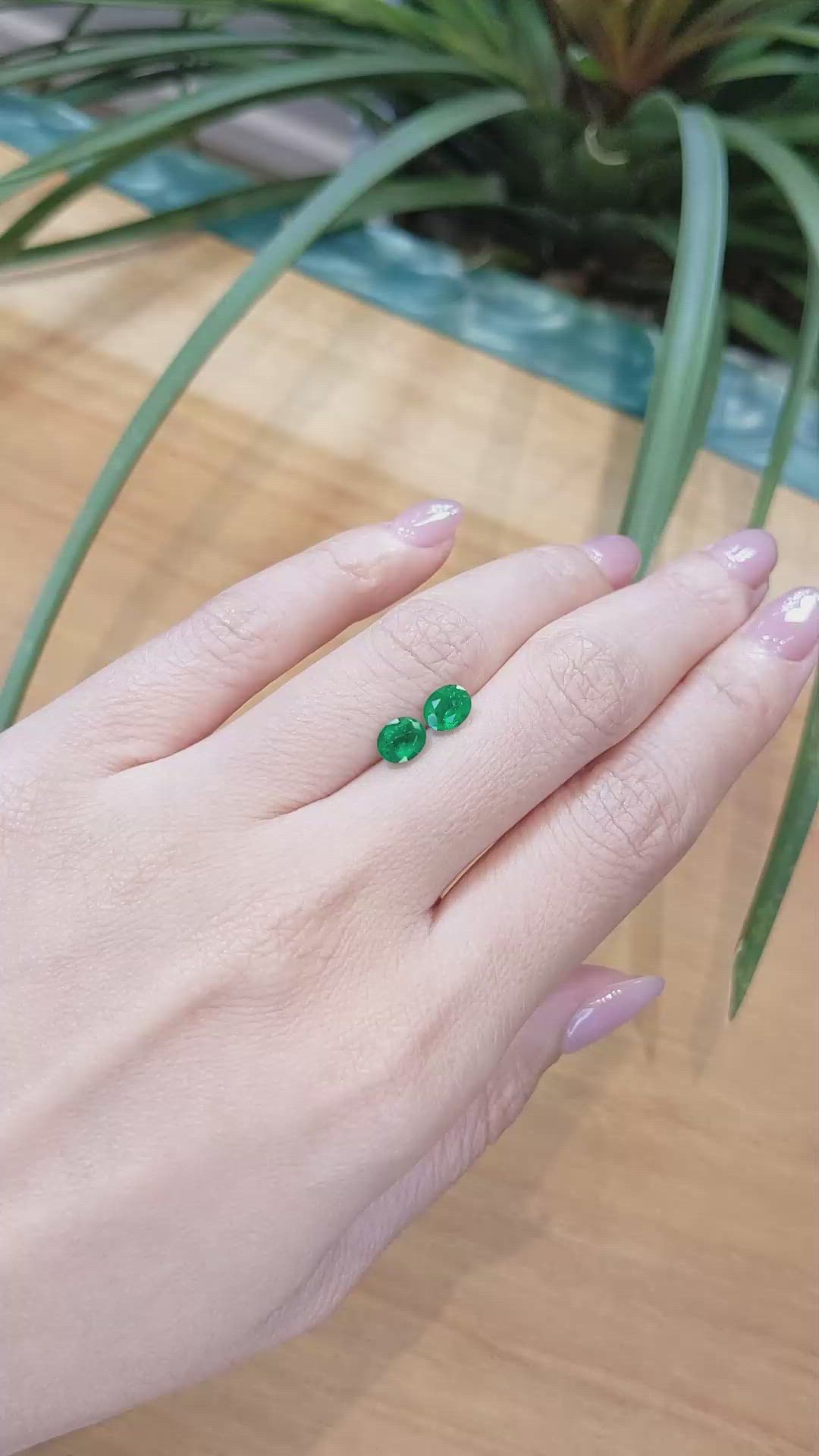 1.30 Ct.Tw.Total Carat Weight Emerald Pair from Zambia Size Video