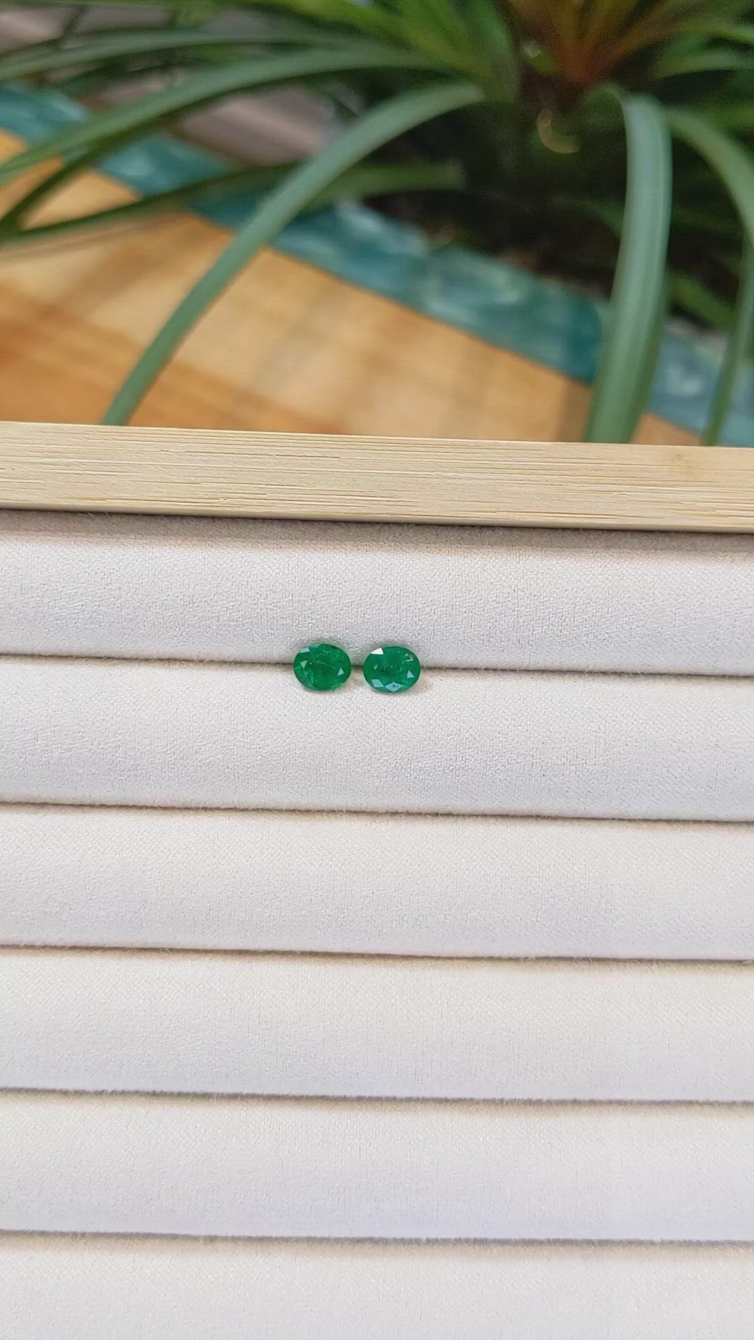 1.30 Ct.Tw.Total Carat Weight Emerald Pair from Zambia Size Video