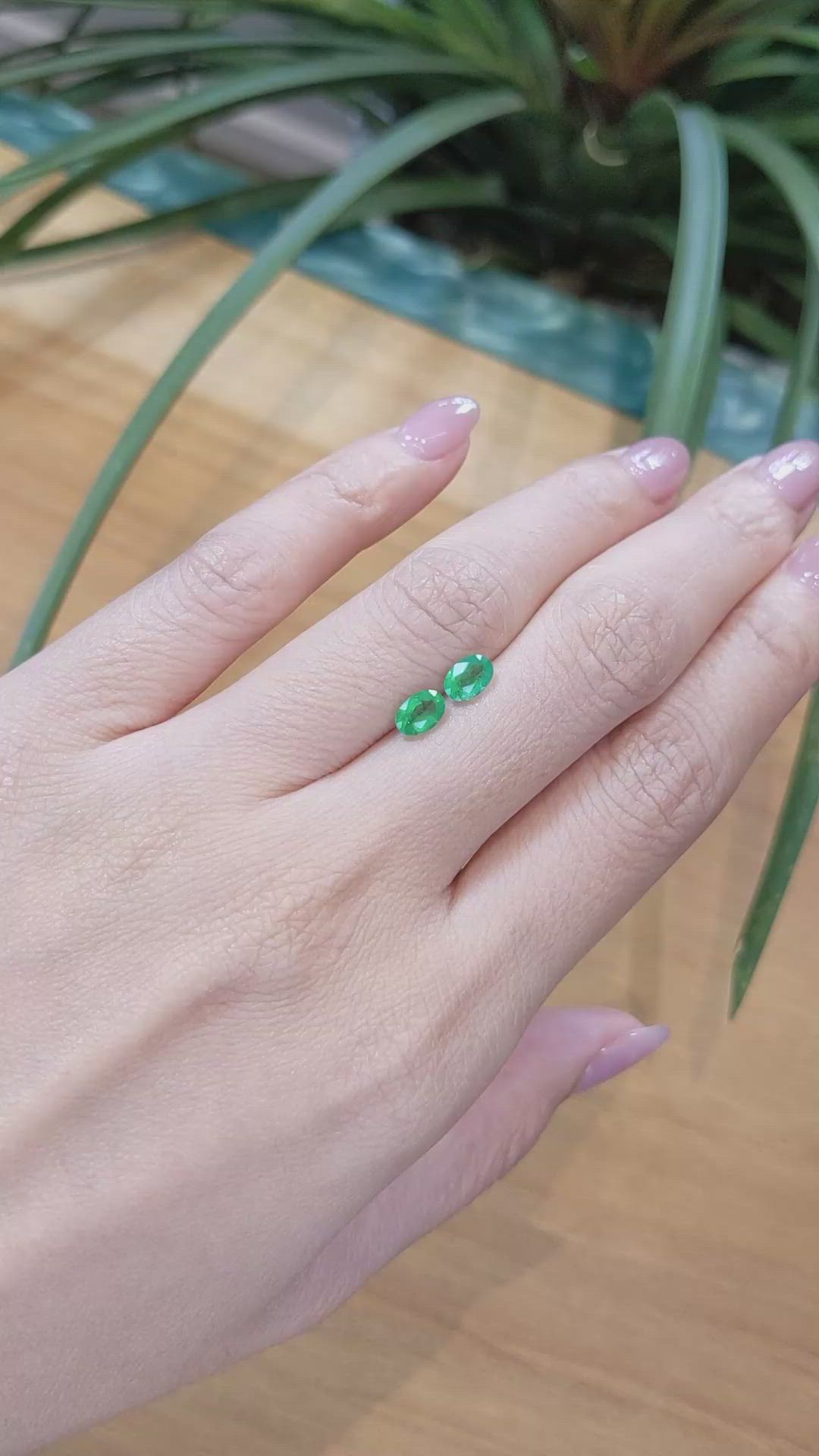 0.97 Ct.Tw.Total Carat Weight Emerald Pair from Zambia Size Video