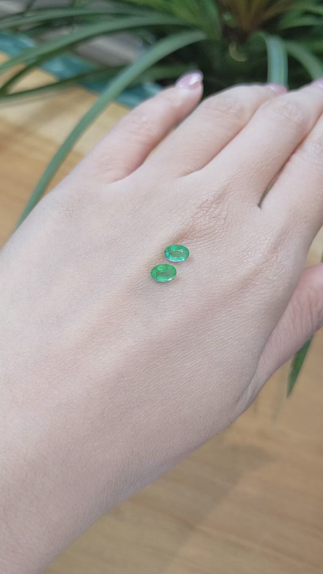 0.97 Ct.Tw.Total Carat Weight Emerald Pair from Zambia Size Video