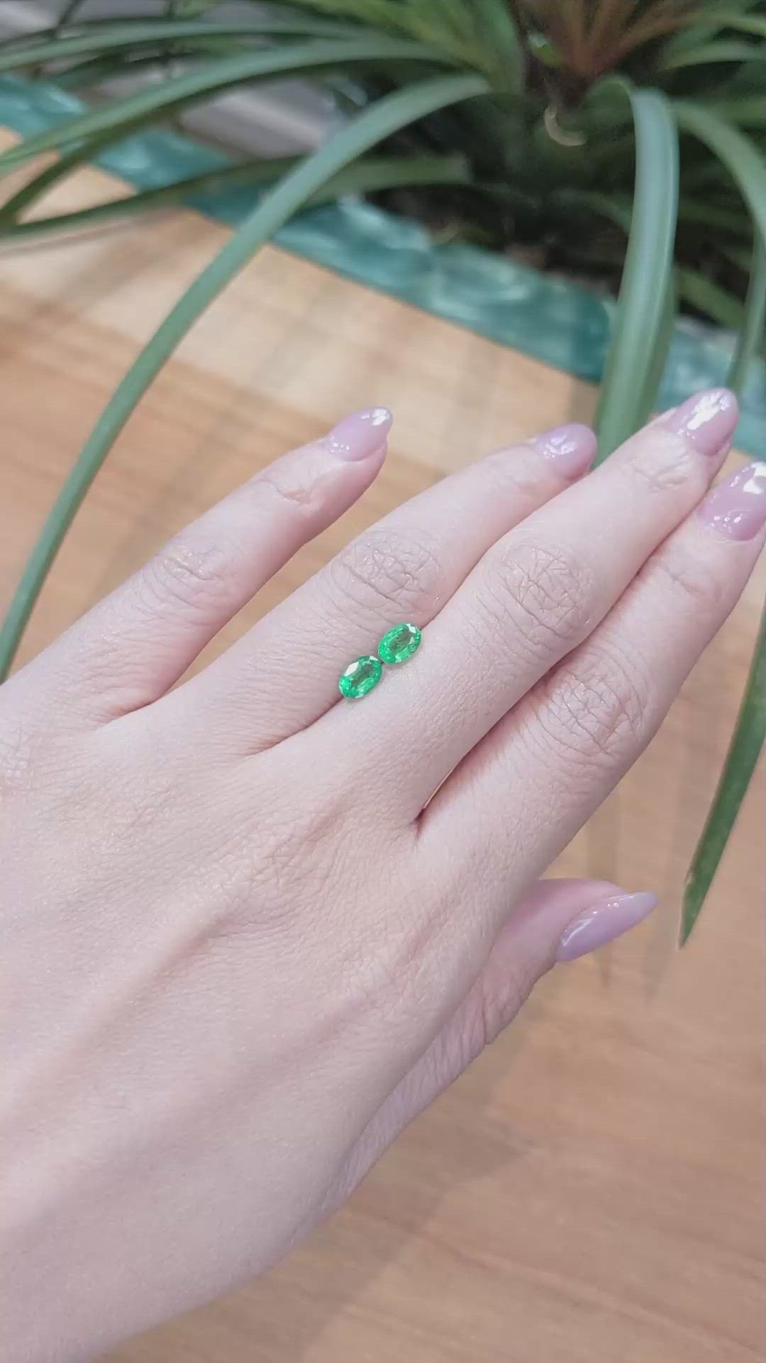 0.95 Ct.Tw.Total Carat Weight Emerald Pair from Zambia Size Video