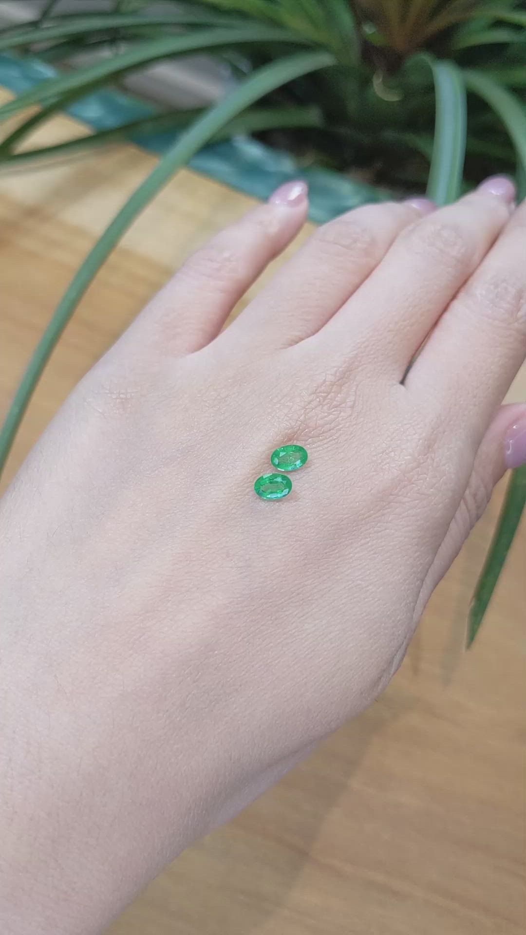 0.95 Ct.Tw.Total Carat Weight Emerald Pair from Zambia Size Video