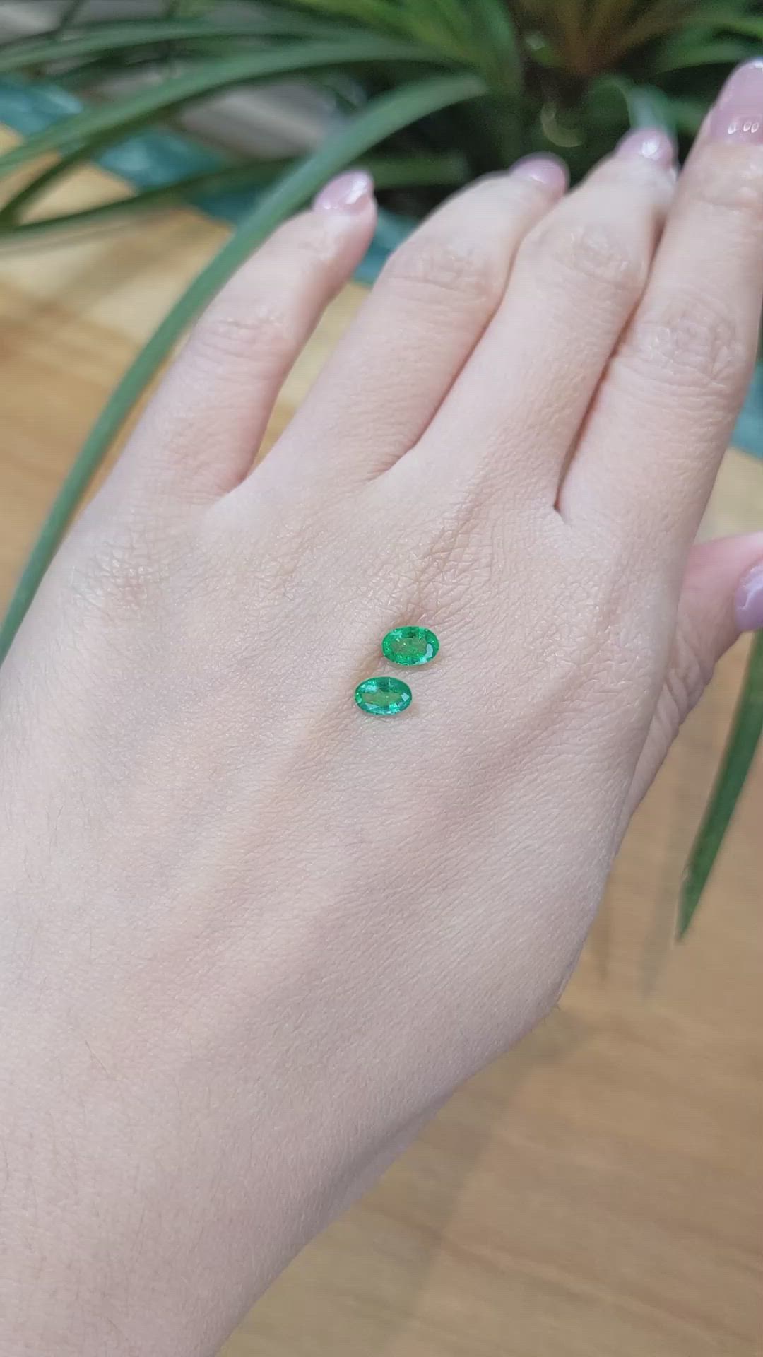 0.76 Ct.Tw.Total Carat Weight Emerald Pair from Zambia Size Video