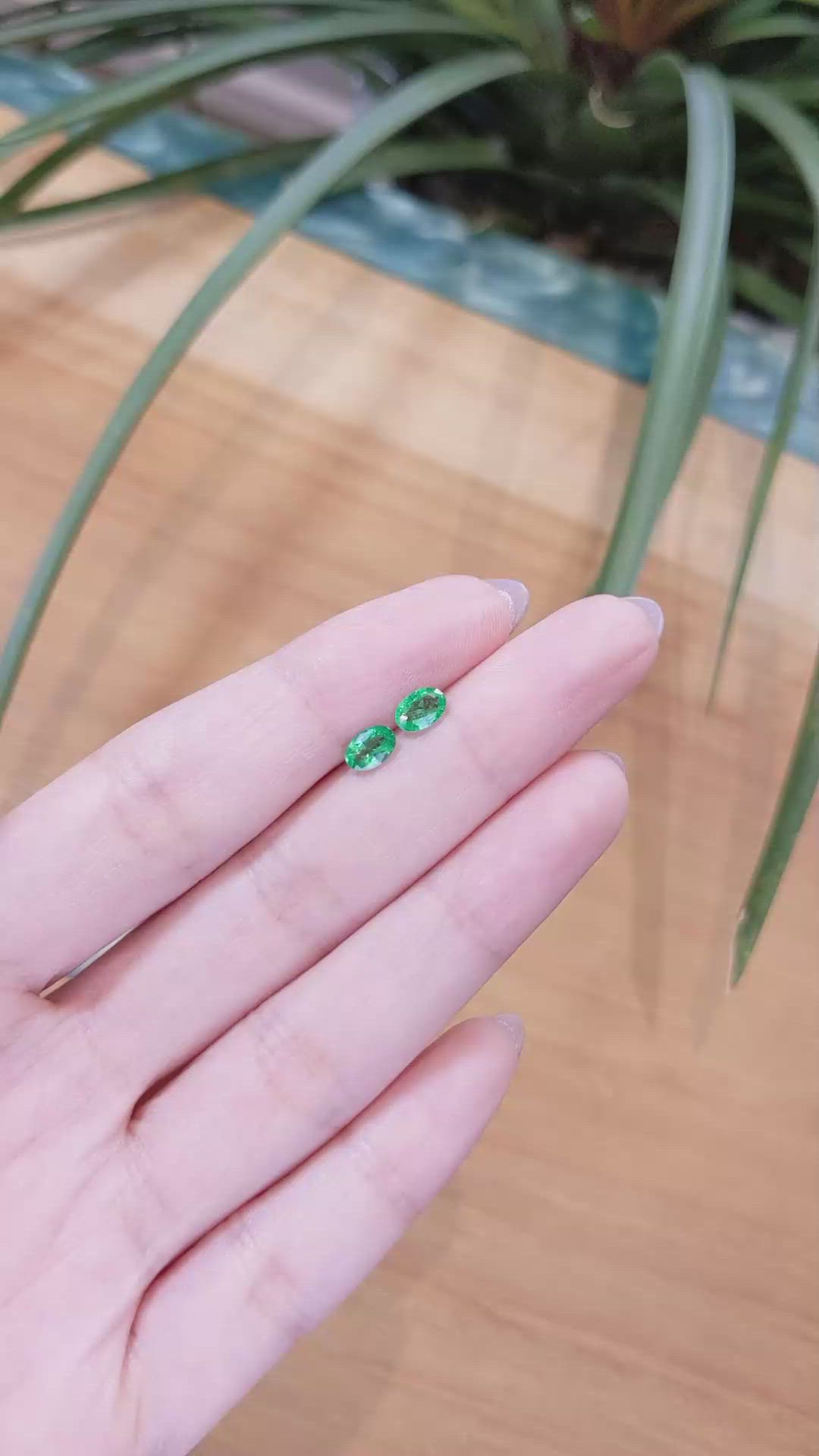 0.76 Ct.Tw.Total Carat Weight Emerald Pair from Zambia Size Video