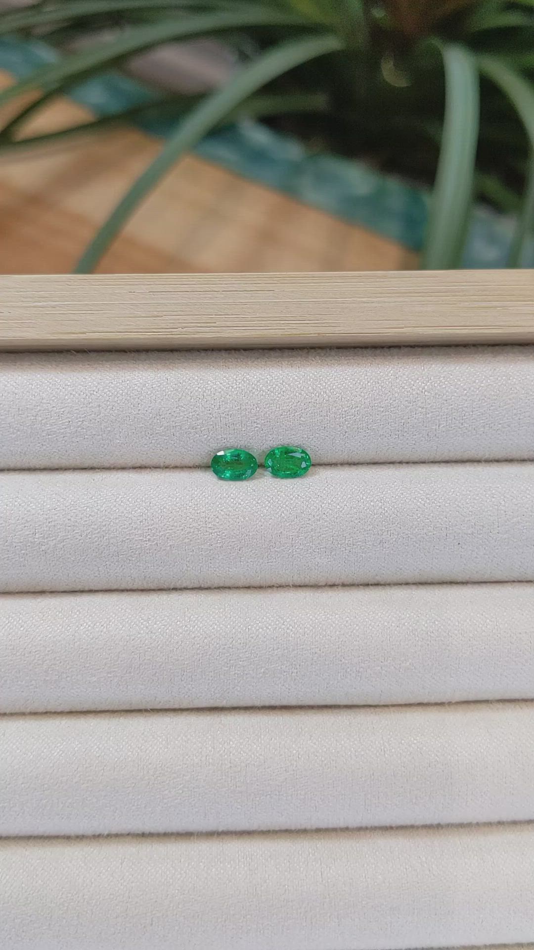 0.76 Ct.Tw.Total Carat Weight Emerald Pair from Zambia Size Video