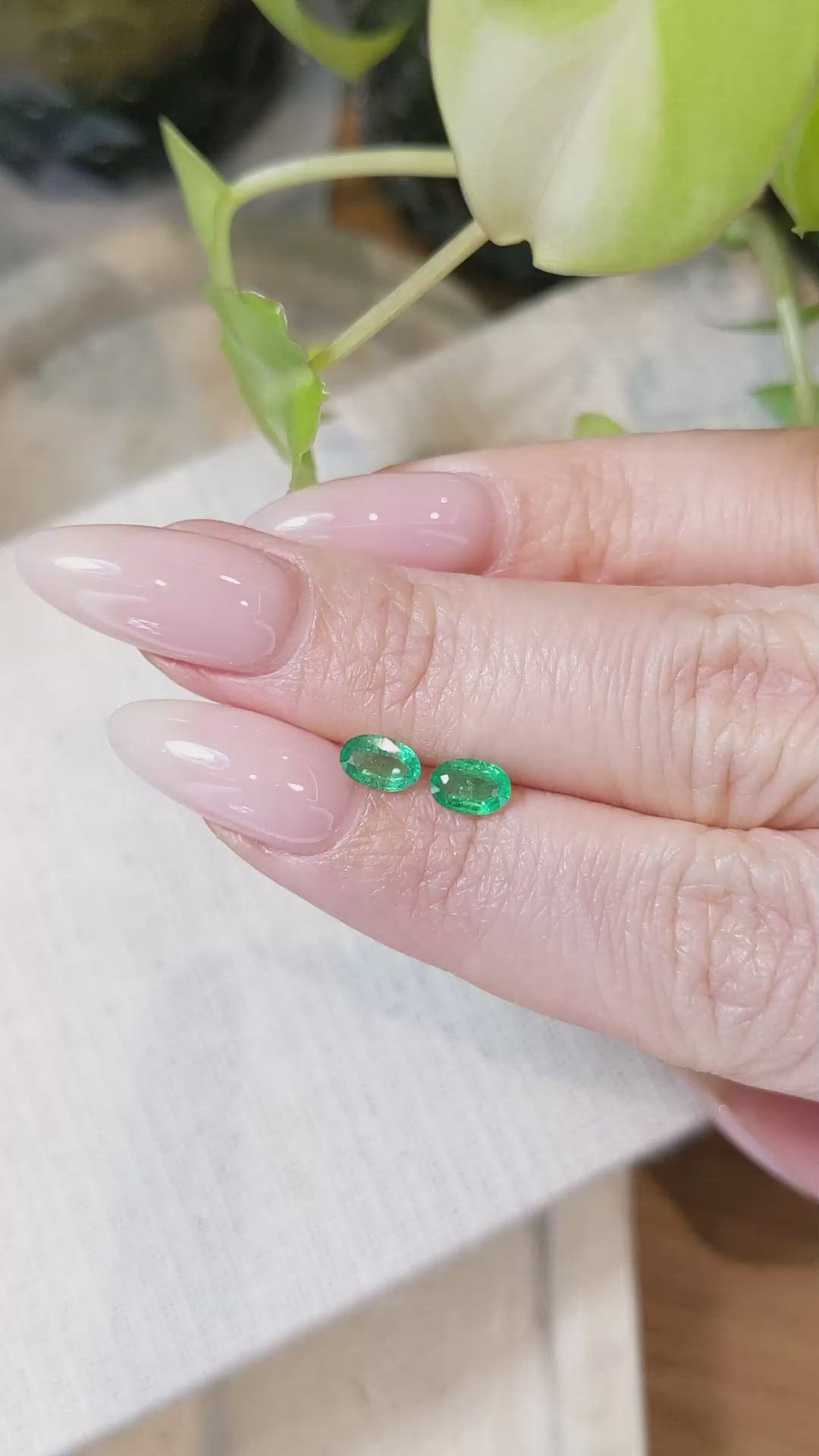 0.76 Ct.Tw.Total Carat Weight Emerald Pair from Zambia Size Video