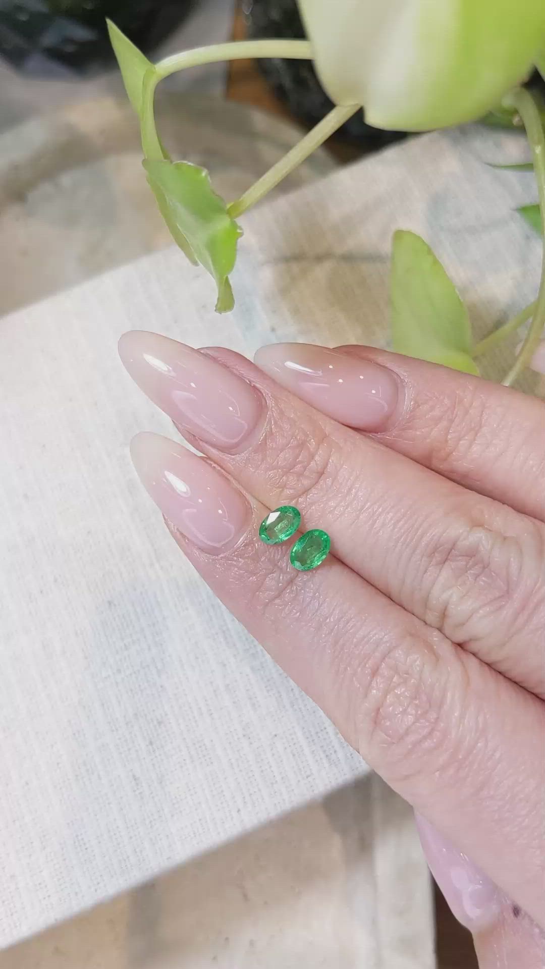 0.76 Ct.Tw.Total Carat Weight Emerald Pair from Zambia Size Video