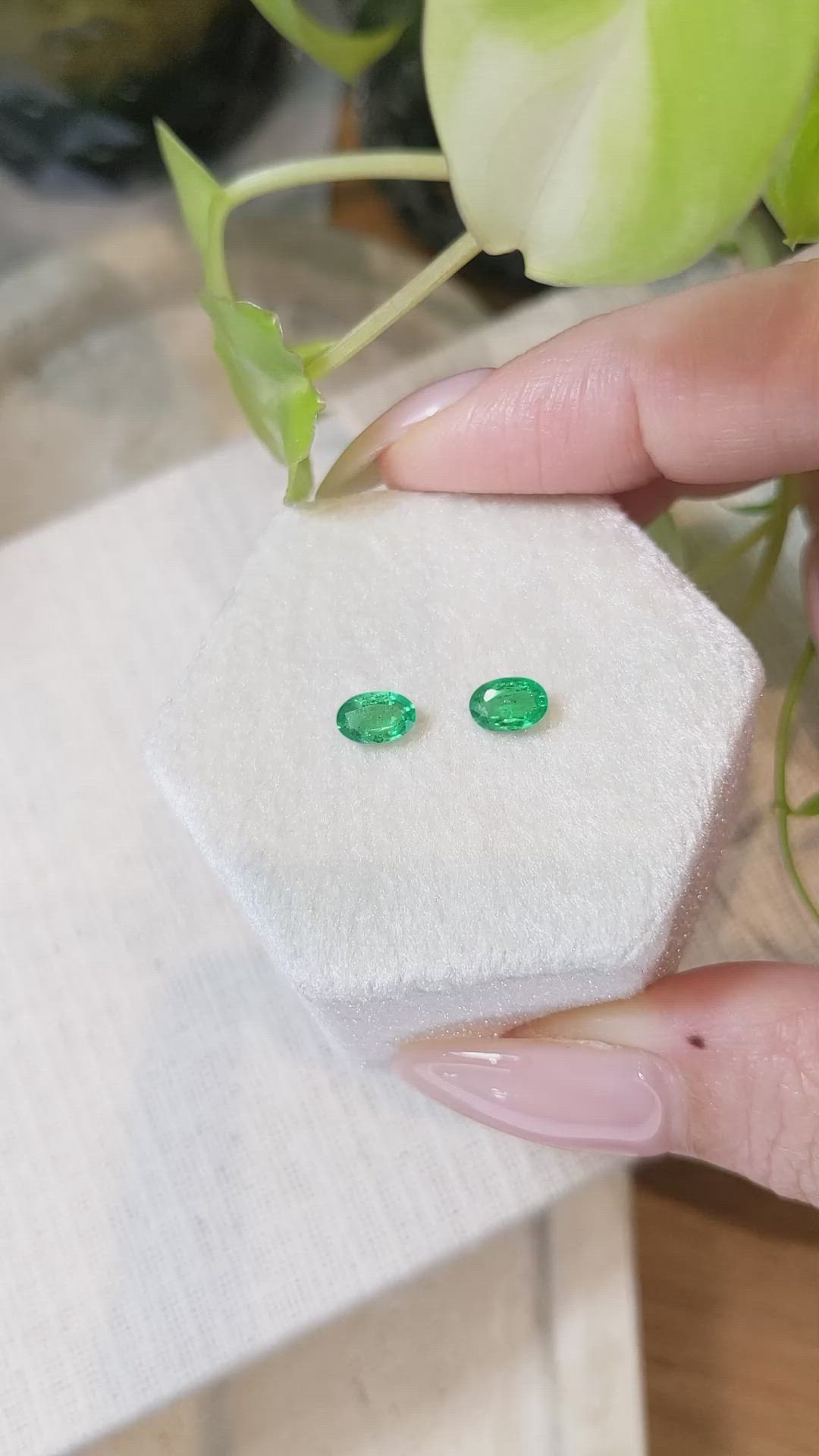 0.76 Ct.Tw.Total Carat Weight Emerald Pair from Zambia Size Video