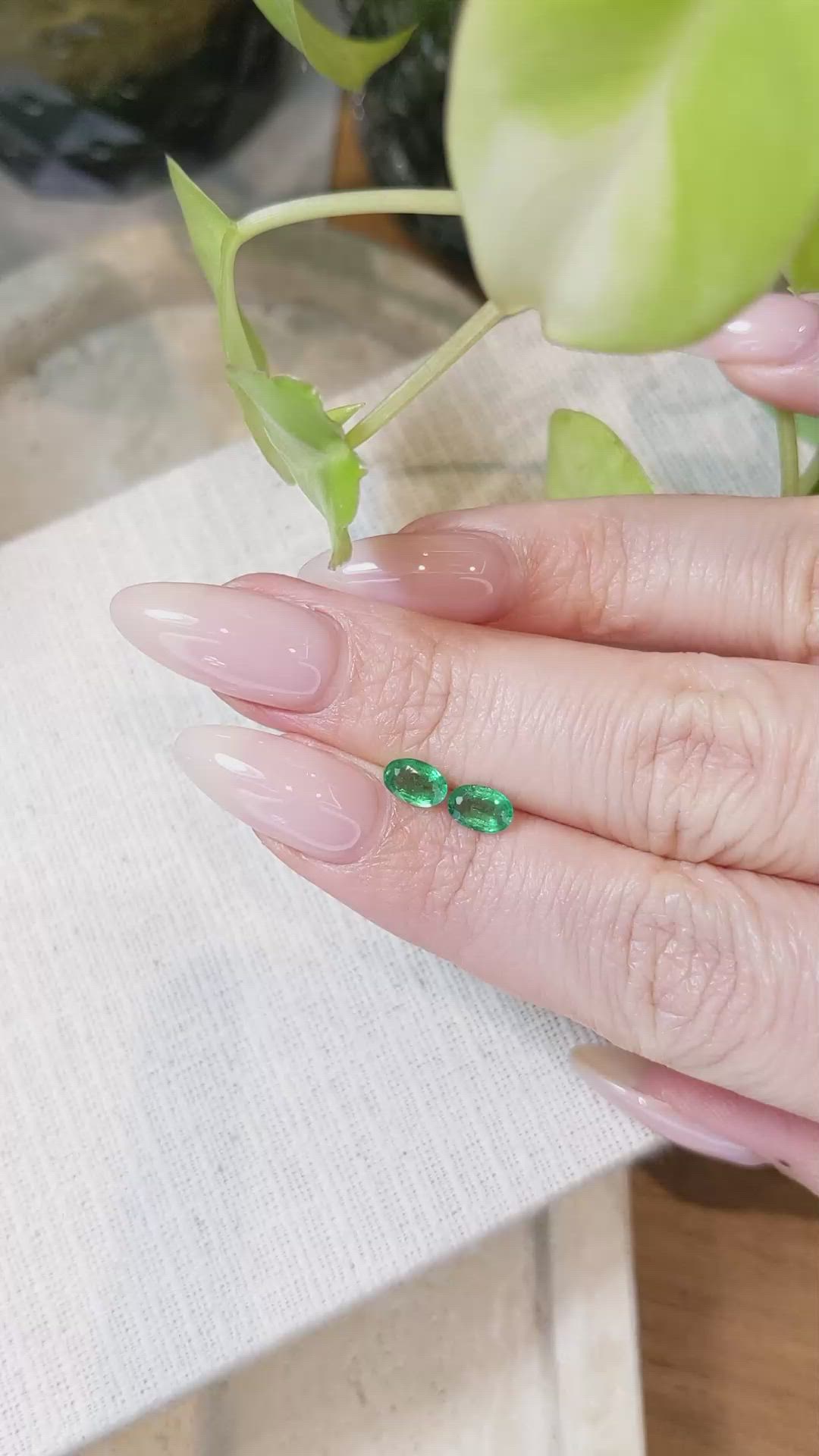 0.83 Ct.Tw.Total Carat Weight Emerald Pair from Zambia Size Video