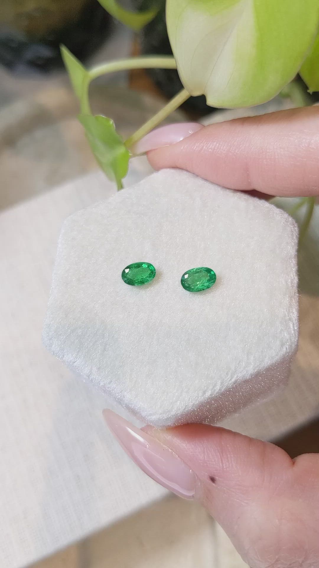 0.83 Ct.Tw.Total Carat Weight Emerald Pair from Zambia Size Video