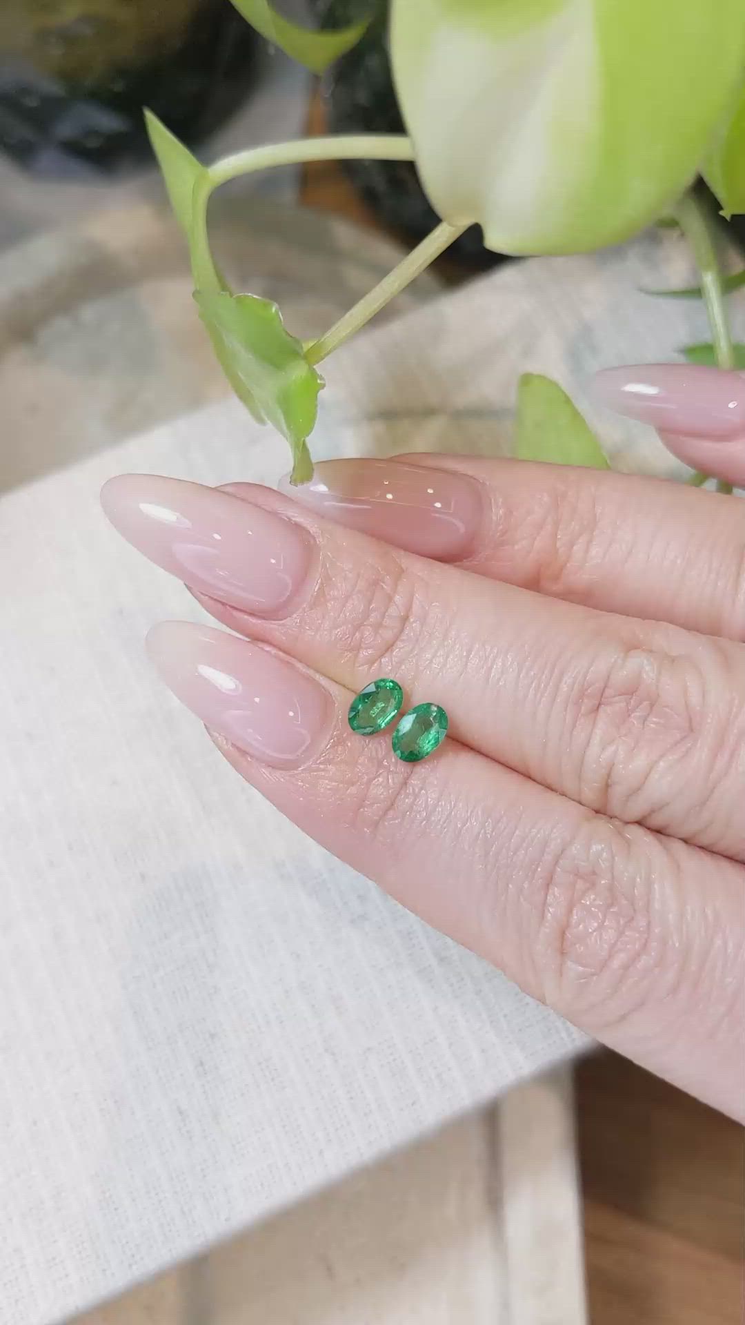 0.83 Ct.Tw.Total Carat Weight Emerald Pair from Zambia Size Video