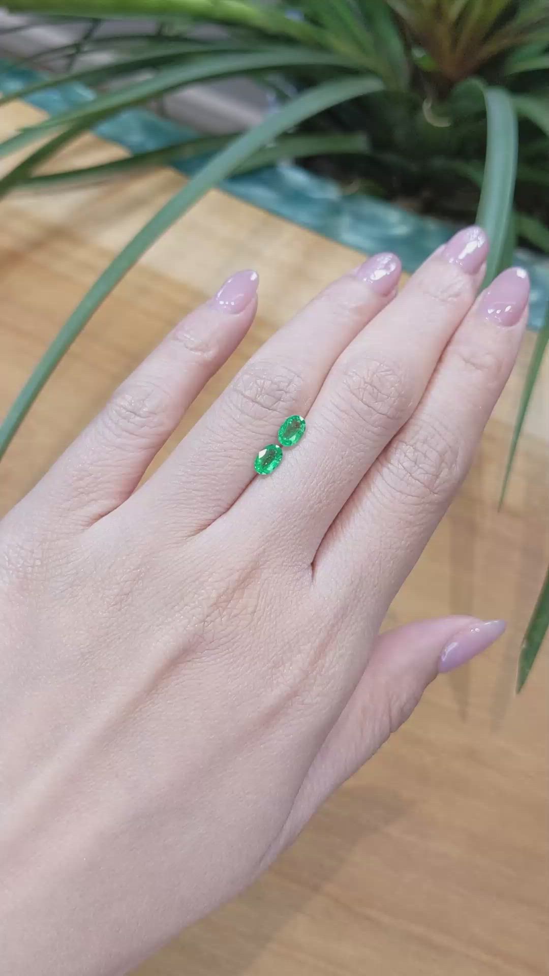 0.82 Ct.Tw.Total Carat Weight Emerald Pair from Zambia Size Video