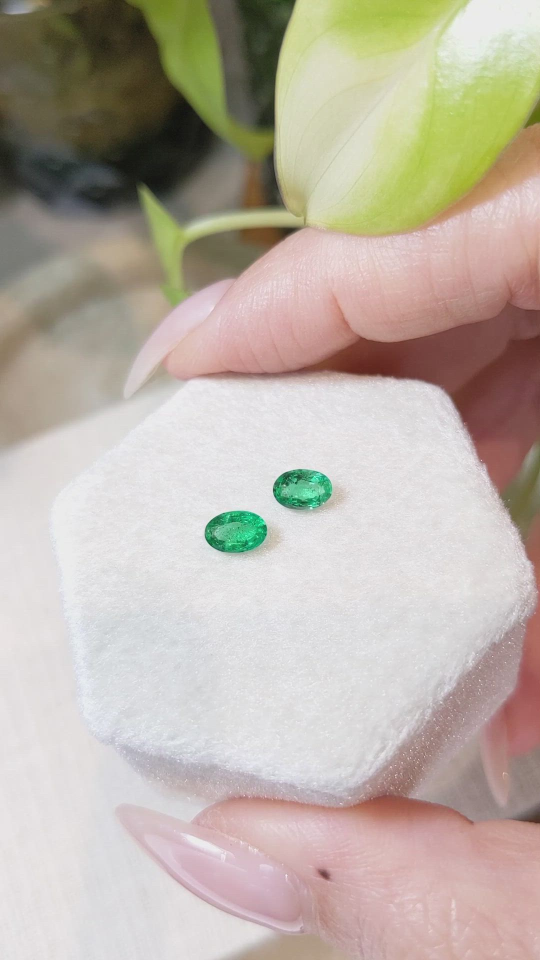 0.78&nbsp;Ct.Tw.Total Carat Weight Emerald Pair from Zambia Size Video