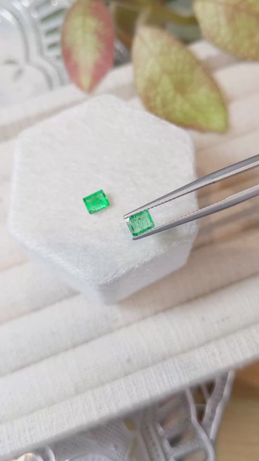 0.73&nbsp;Ct.Tw.Total Carat Weight Emerald Pair from Colombia Size Video