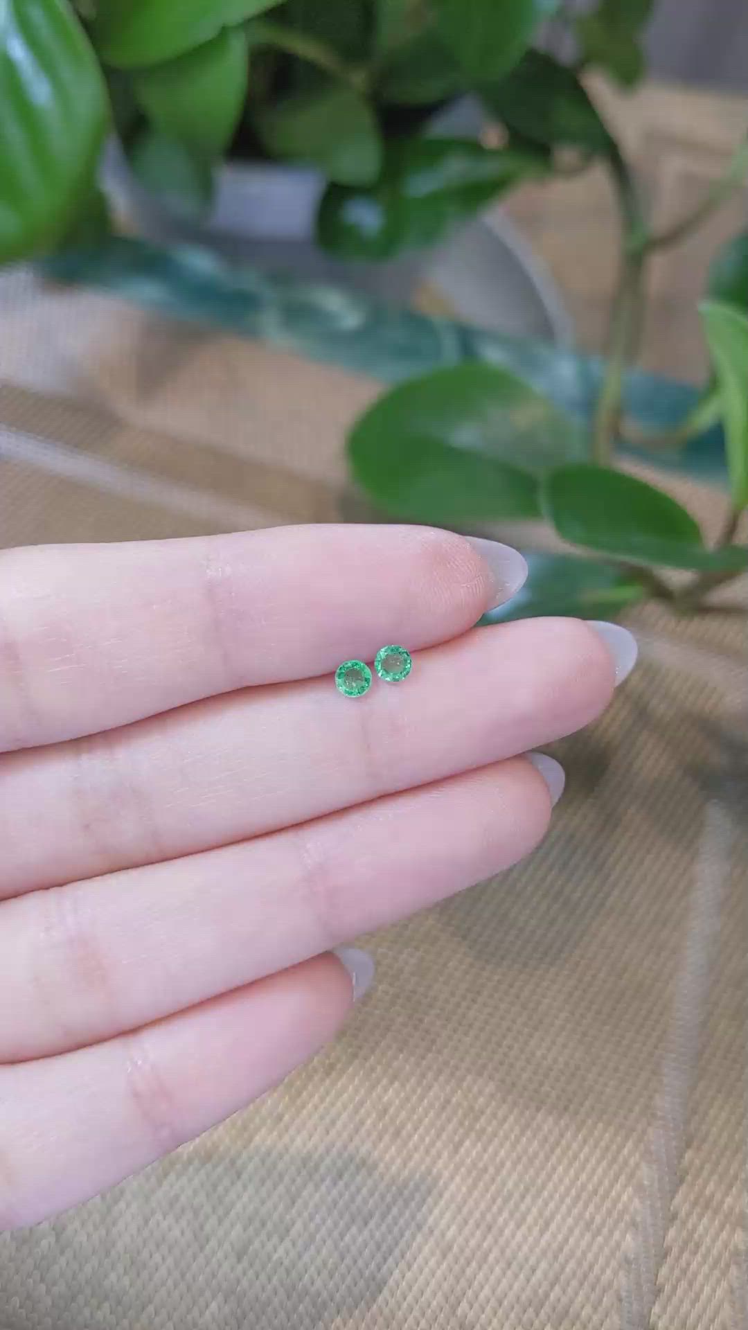 0.26&nbsp;Ct.Tw.Total Carat Weight Emerald Pair from Zambia Size Video