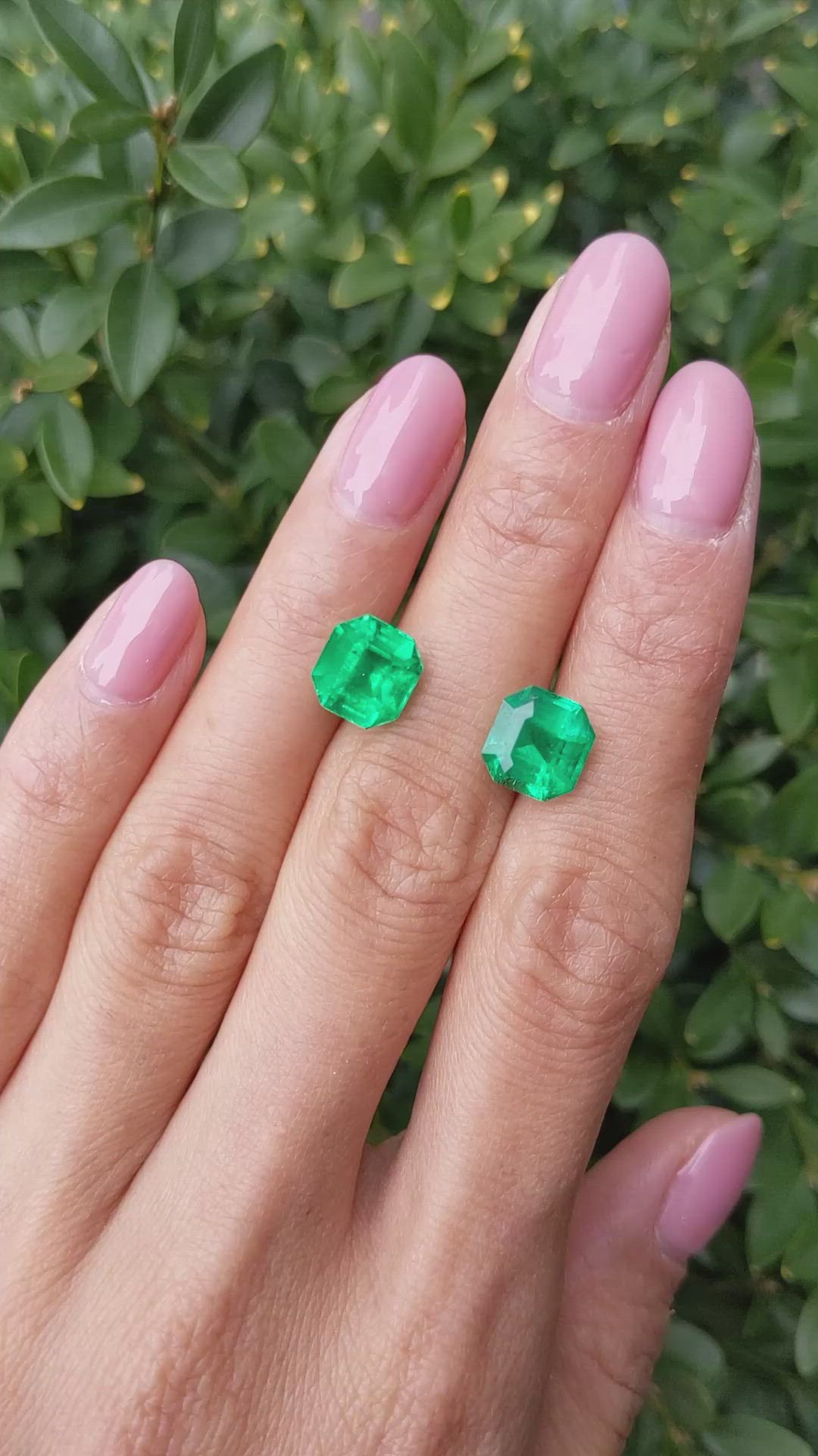 5.57 Ct.Tw.Total Carat Weight Emerald Pair from Colombia Size Video