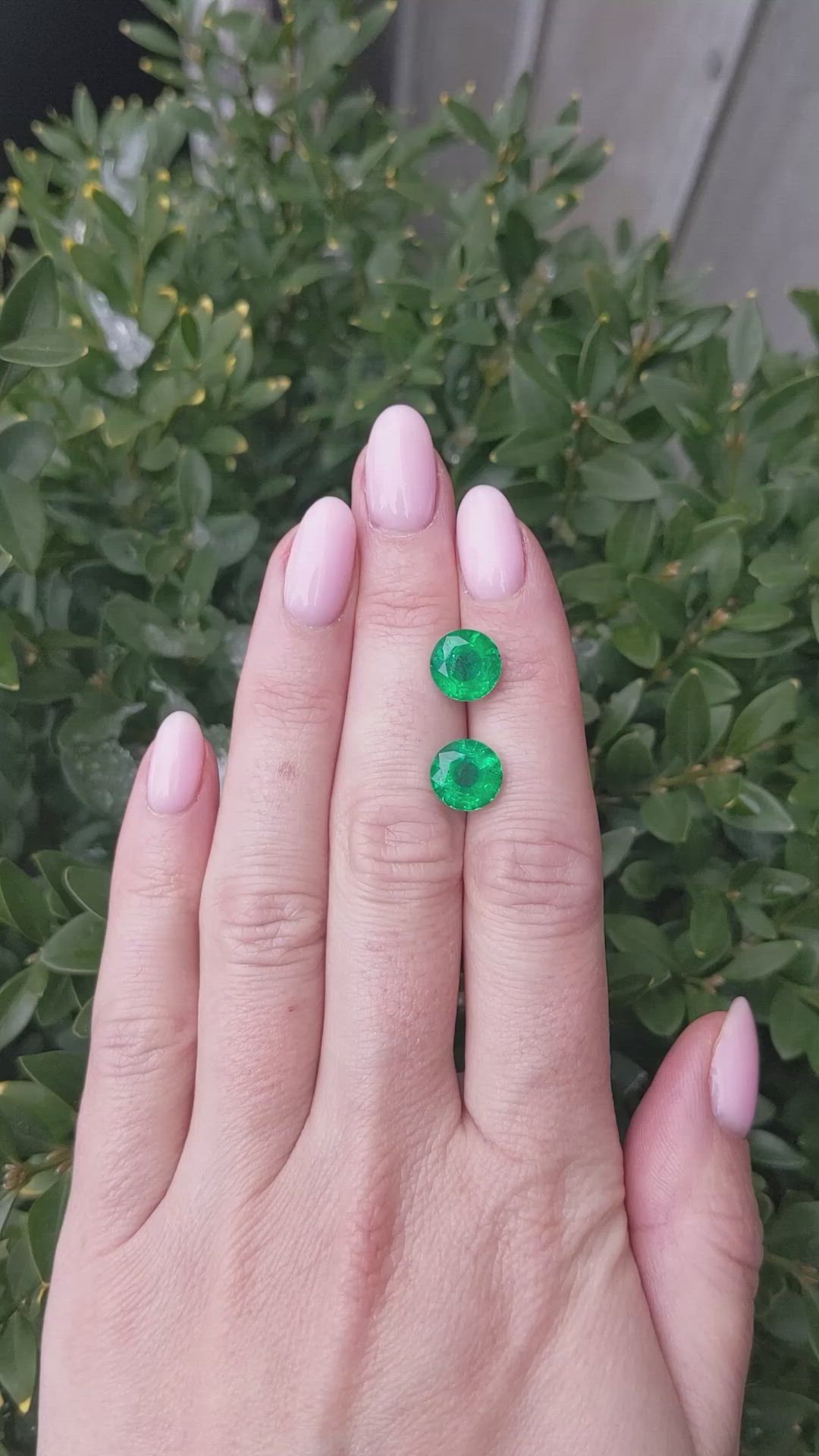 5.31 Ct.Tw.Total Carat Weight Emerald Pair from Zambia Size Video