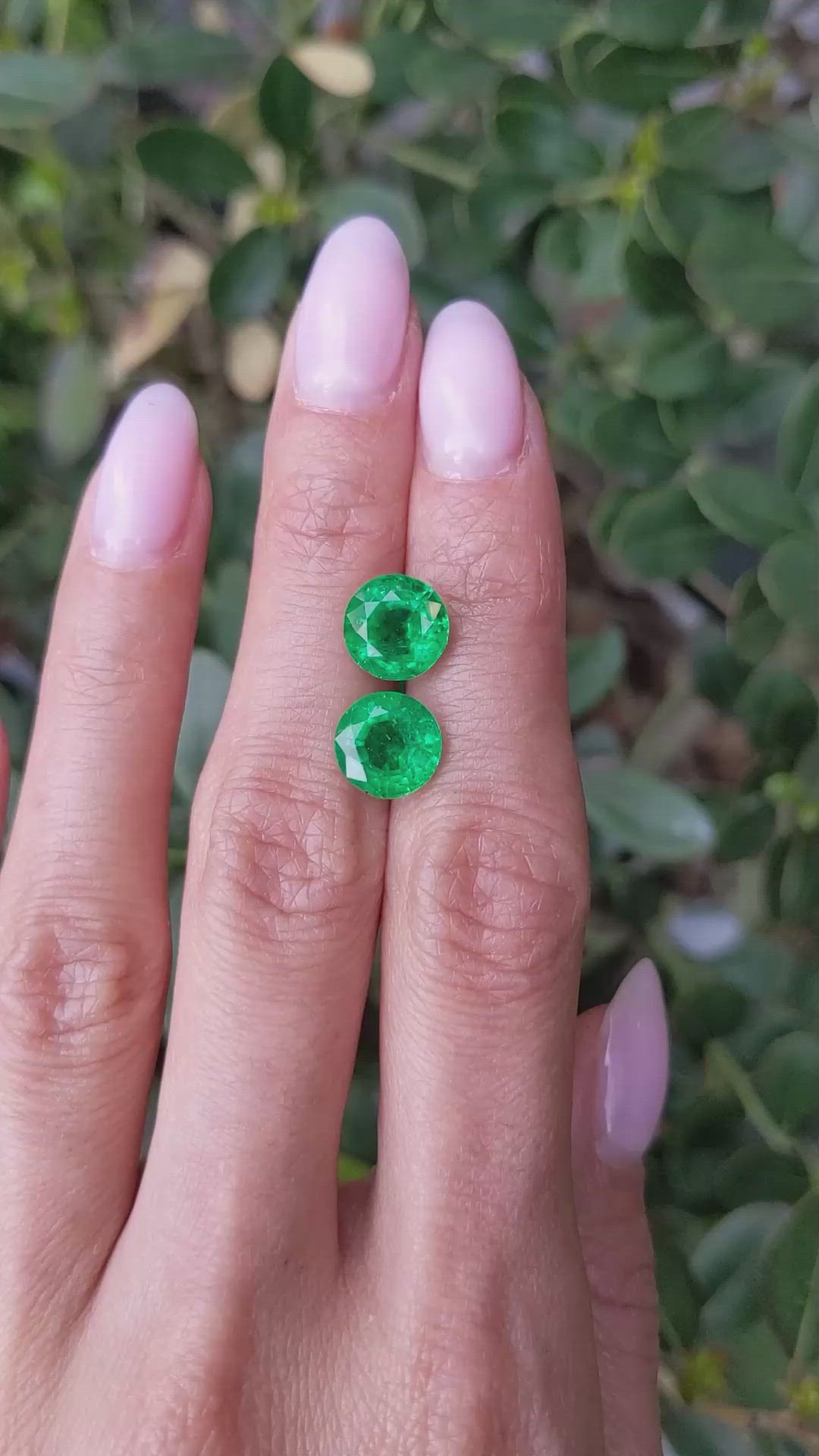 5.31&nbsp;Ct.Tw.Total Carat Weight Emerald Pair from Zambia Size Video
