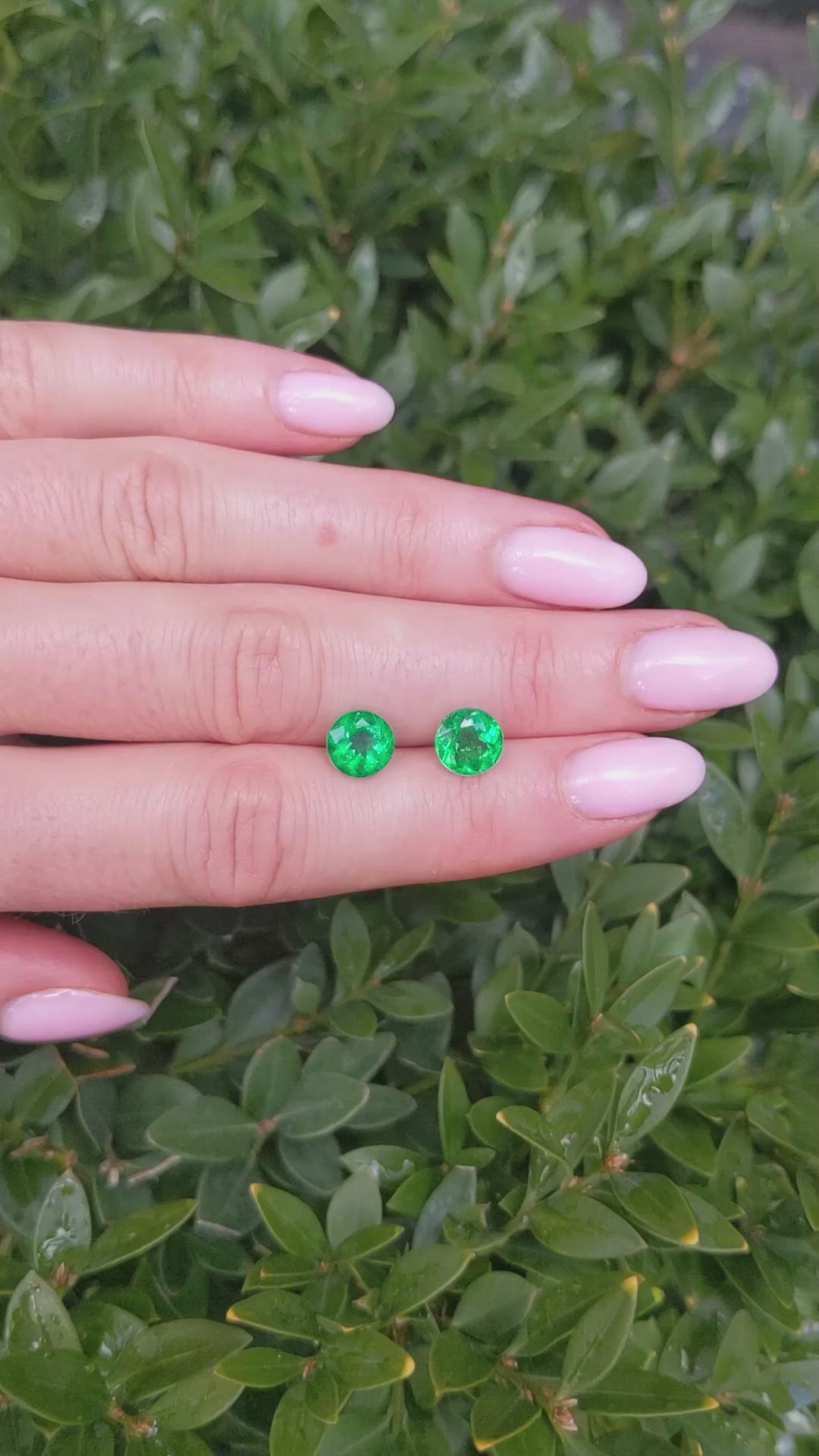 2.79&nbsp;Ct.Tw.Total Carat Weight Emerald Pair from Zambia Size Video