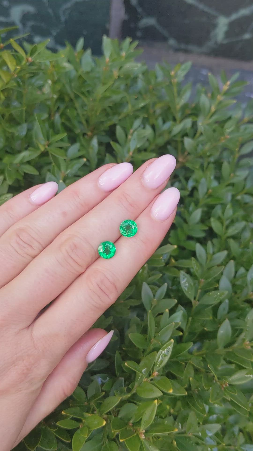 2.79&nbsp;Ct.Tw.Total Carat Weight Emerald Pair from Zambia Size Video