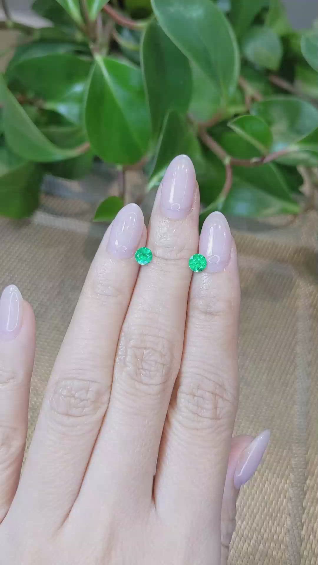 0.74&nbsp;Ct.Tw.Total Carat Weight Emerald Pair from Colombia Size Video