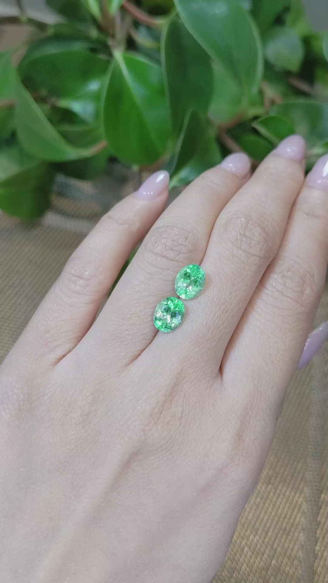 3.11 Ct.Tw.Total Carat Weight Emerald Pair from Colombia Size Video