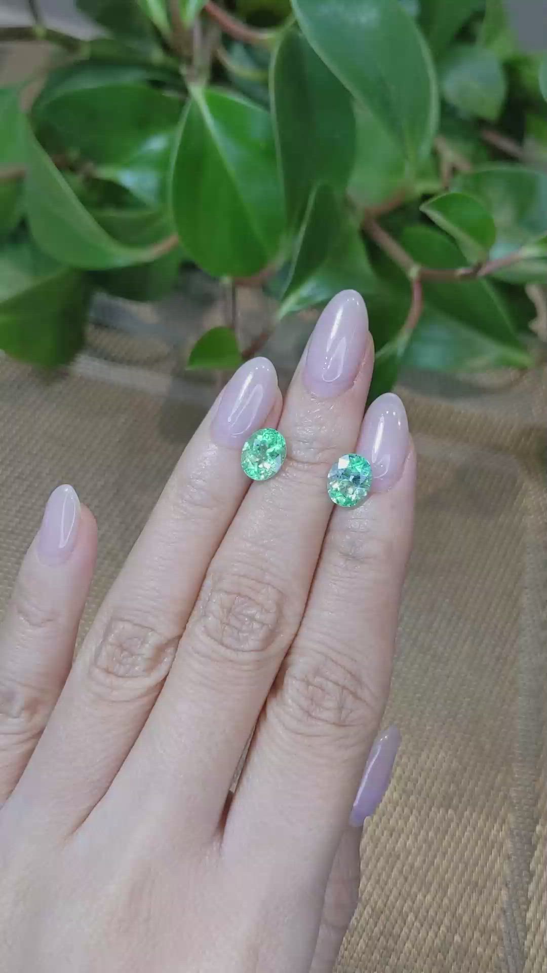 3.11 Ct.Tw.Total Carat Weight Emerald Pair from Colombia Size Video