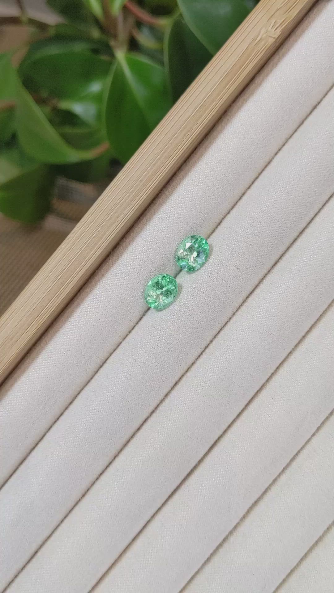 3.11 Ct.Tw.Total Carat Weight Emerald Pair from Colombia Size Video