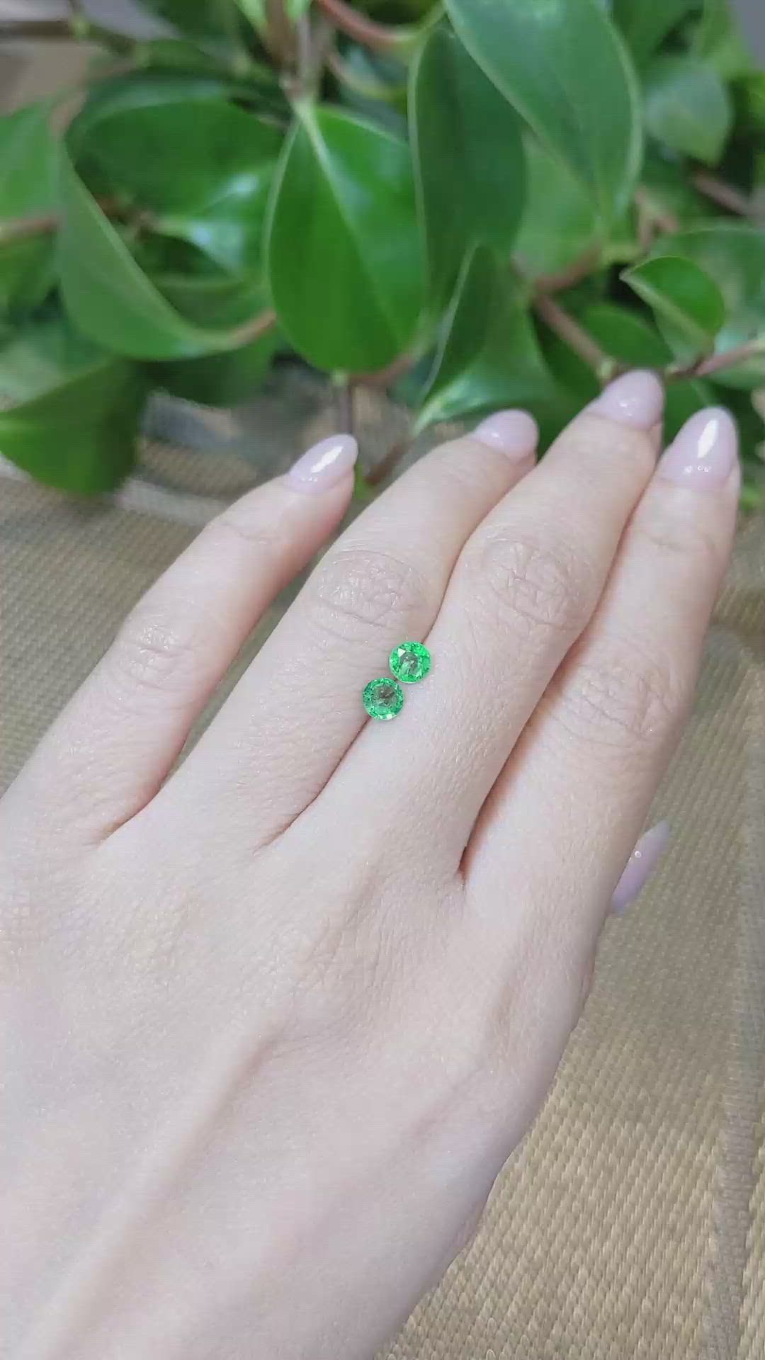 0.65&nbsp;Ct.Tw.Total Carat Weight Emerald Pair from Zambia Size Video