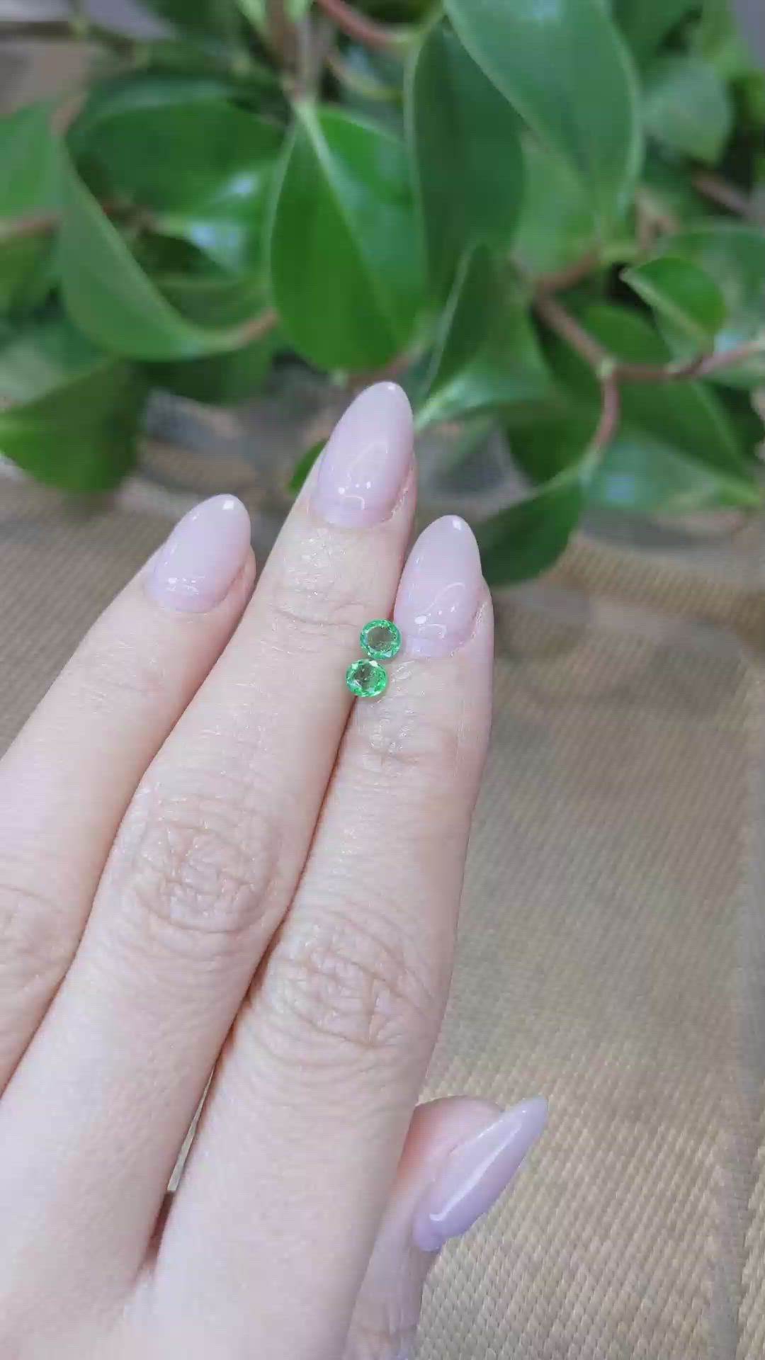 0.48&nbsp;Ct.Tw.Total Carat Weight Emerald Pair from Zambia Size Video
