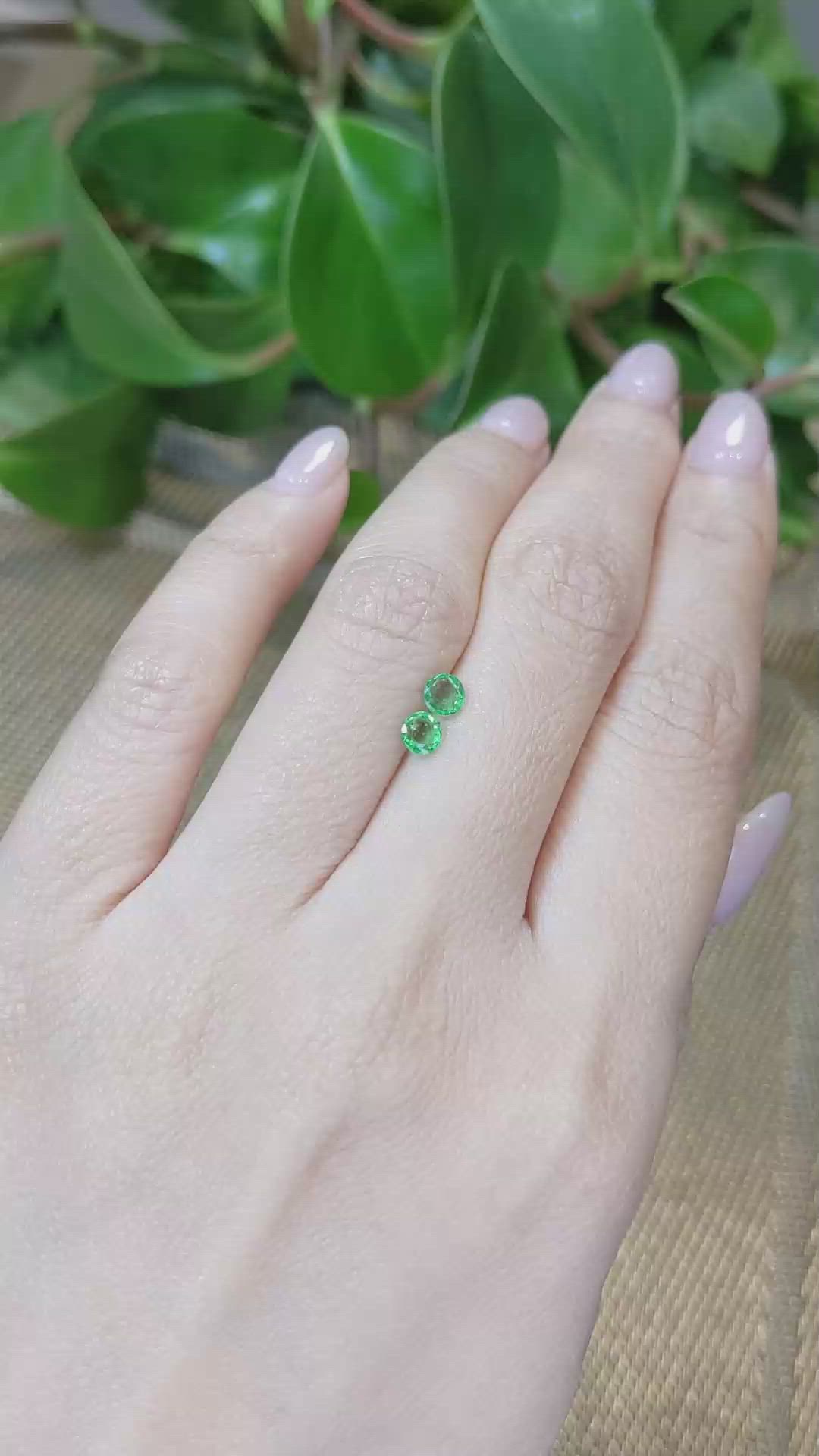 0.48&nbsp;Ct.Tw.Total Carat Weight Emerald Pair from Zambia Size Video