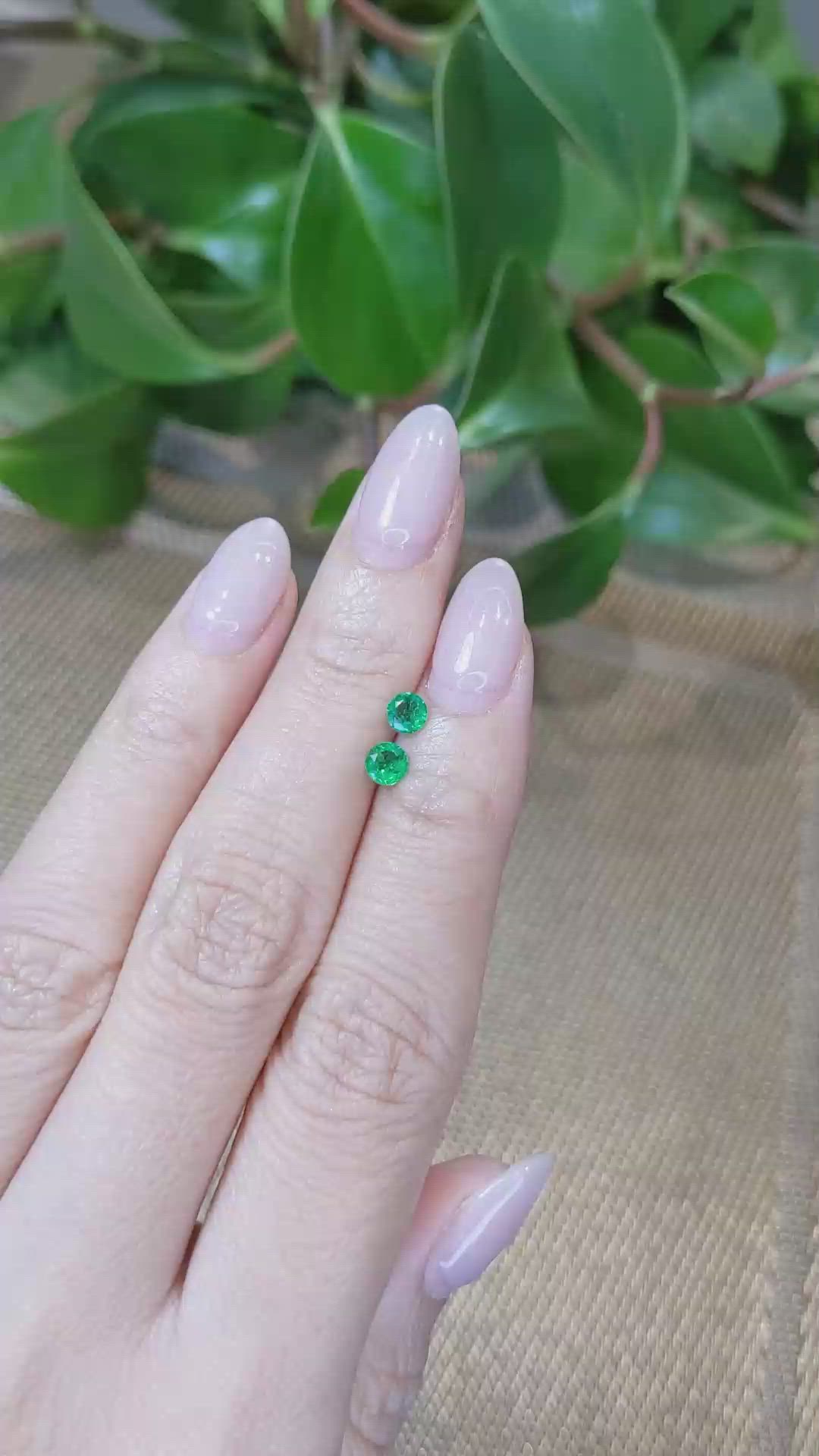0.43&nbsp;Ct.Tw.Total Carat Weight Emerald Pair from Zambia Size Video