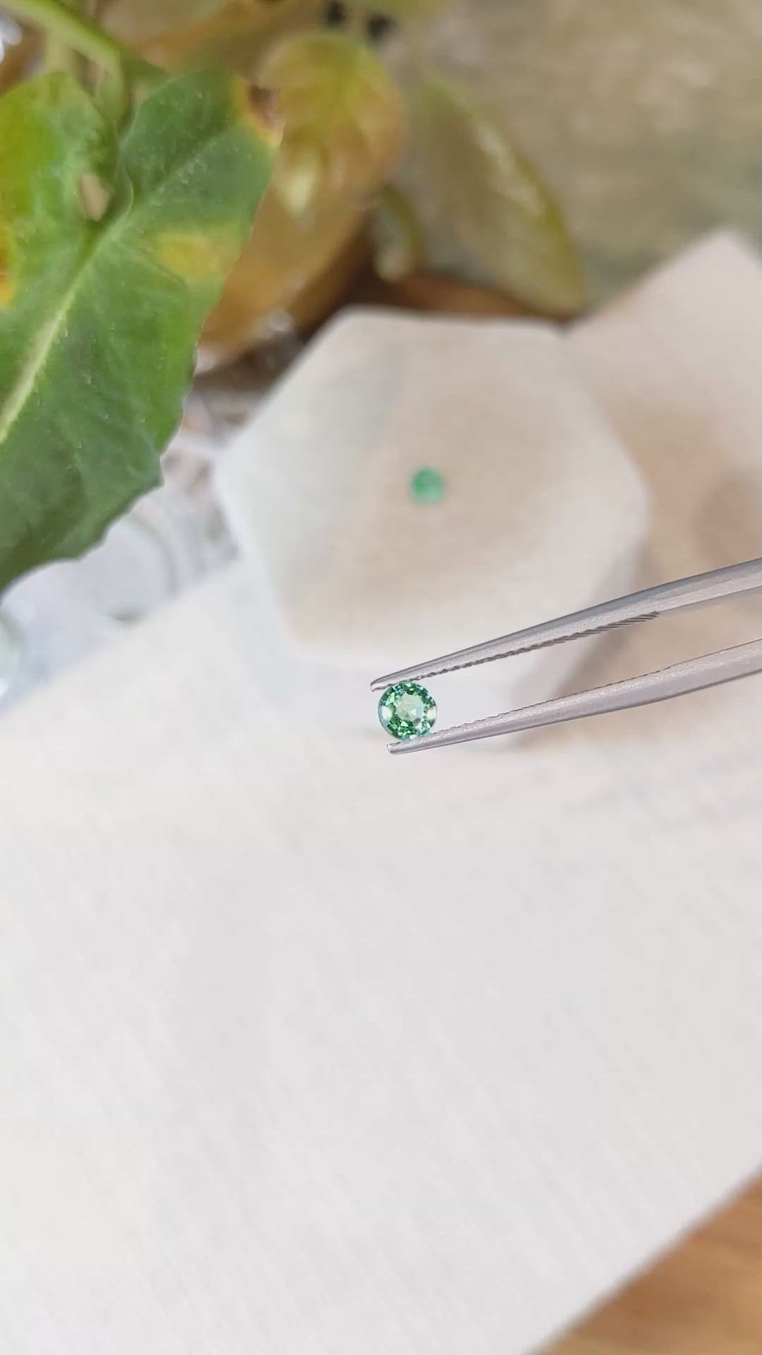 0.42 Ct.Tw.Total Carat Weight Emerald Pair from Zambia Size Video